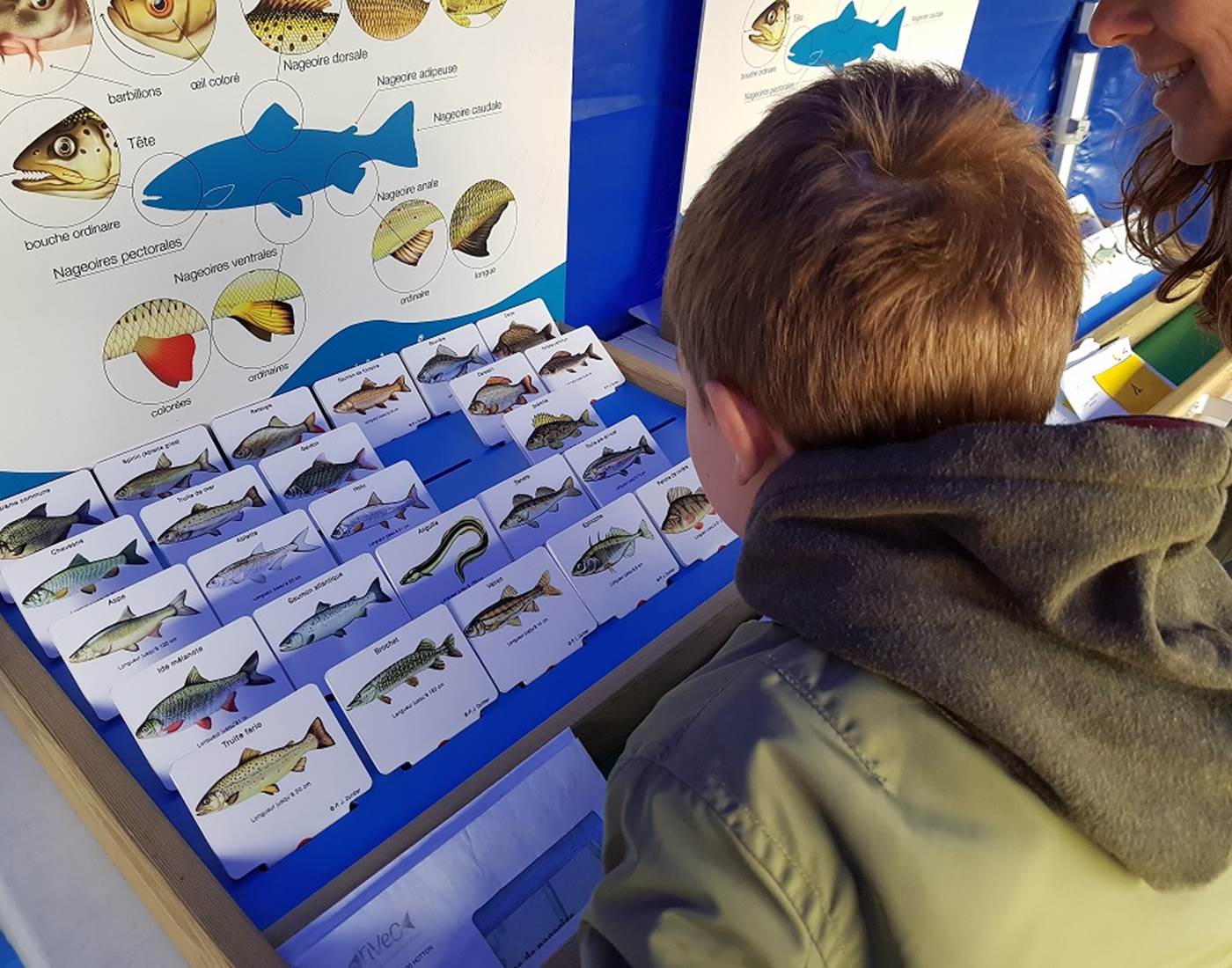 atelier-nature-ecole