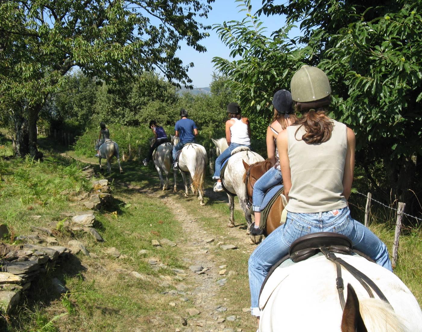 Activités_initiation rando équestre