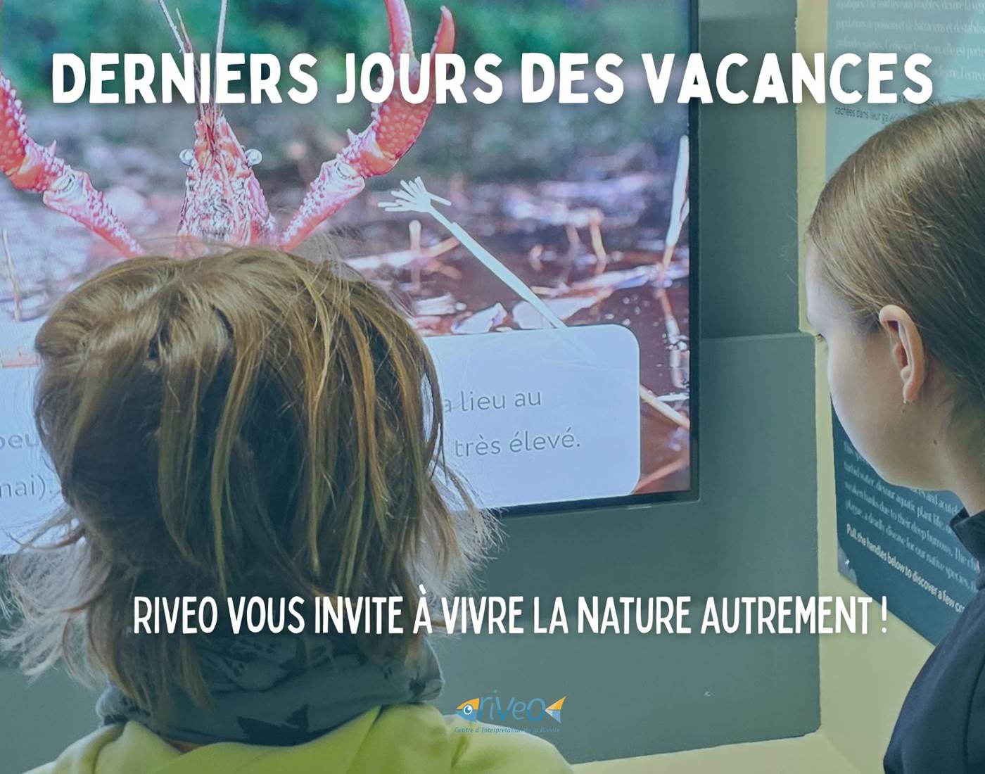 sortie-famille-decouverte-nature-durbuy-riveo