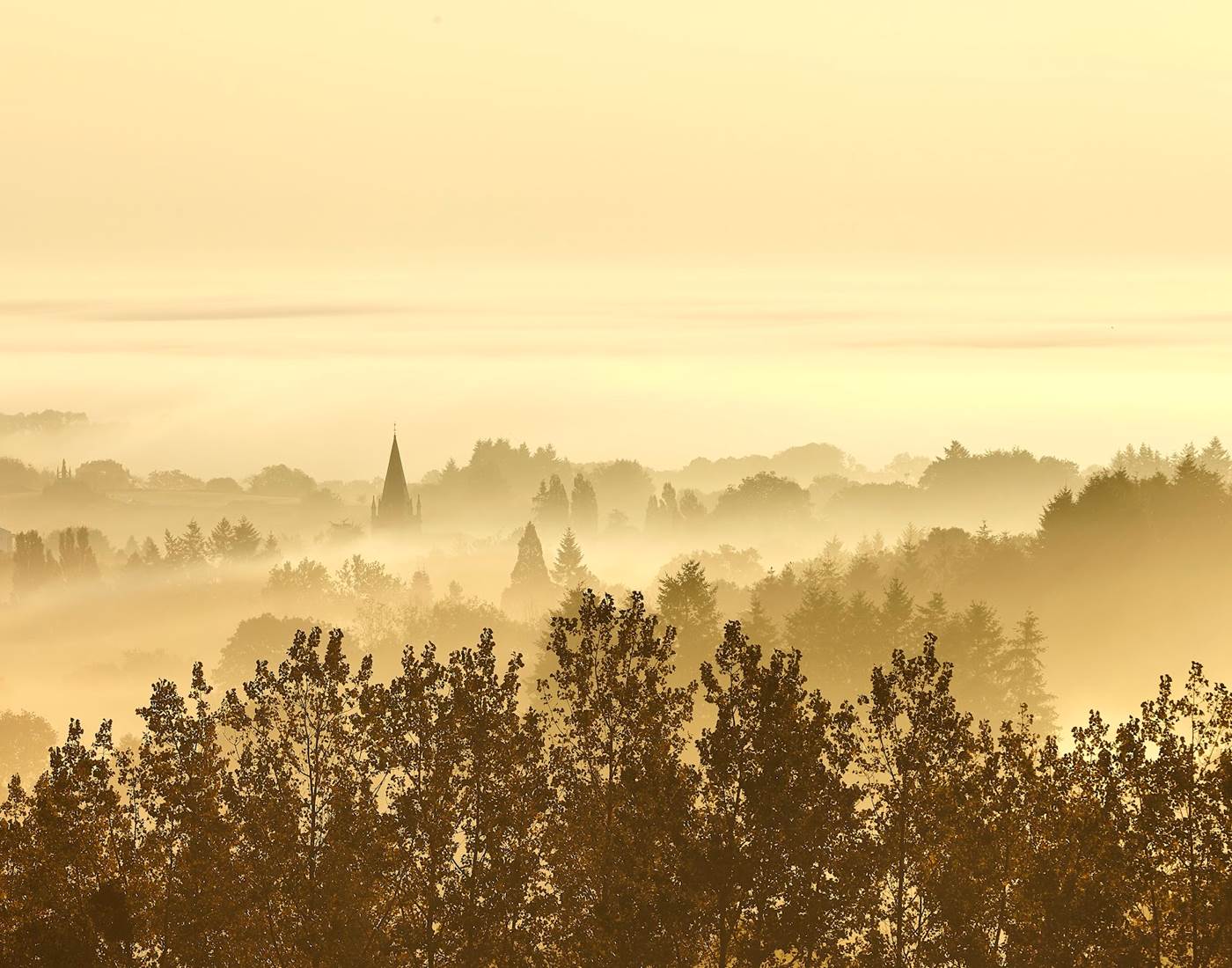 bocage dans la brume-page