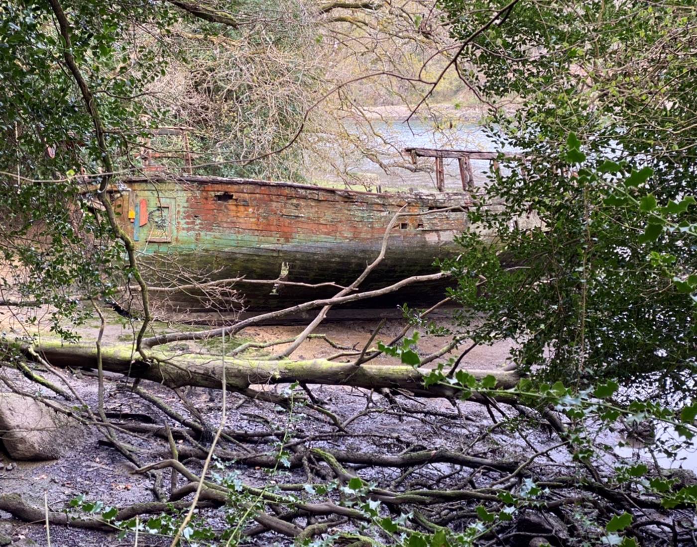 2718D6EF-A2C6-461F-867B-F6B2AC8C78AE