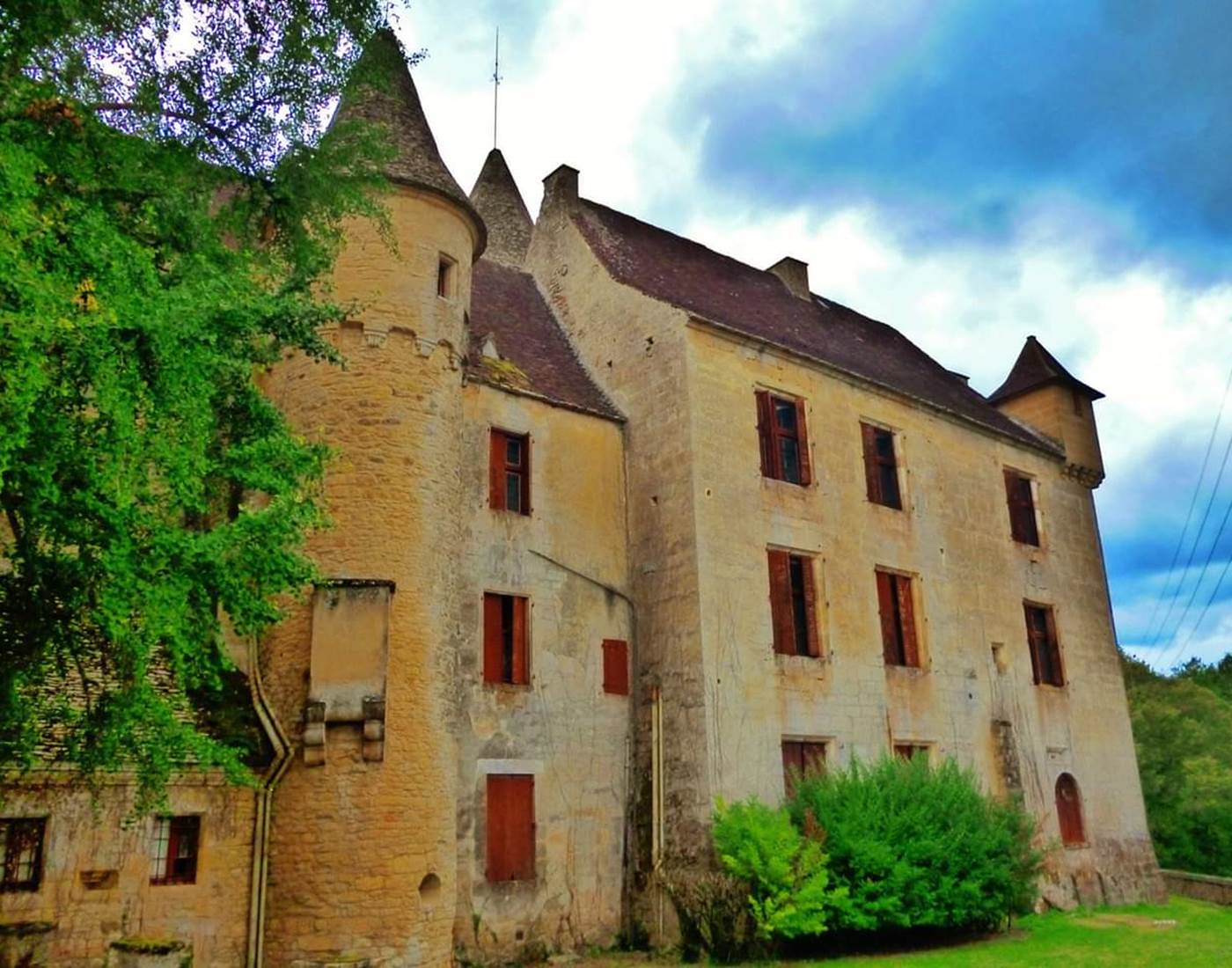 FB_IMG_1553951069772