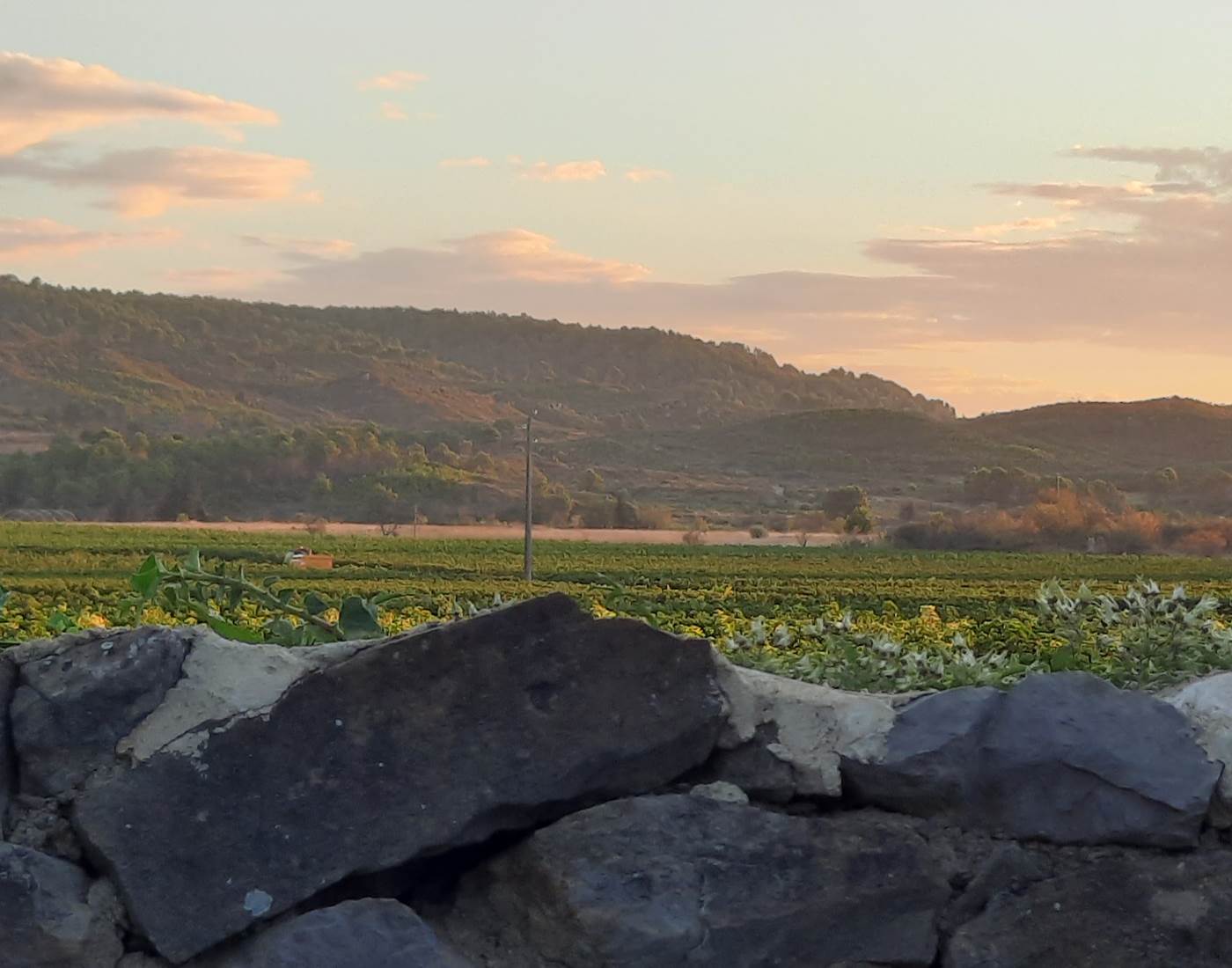 Vues magnifiques à partir du Coq du Nord-Mailhac