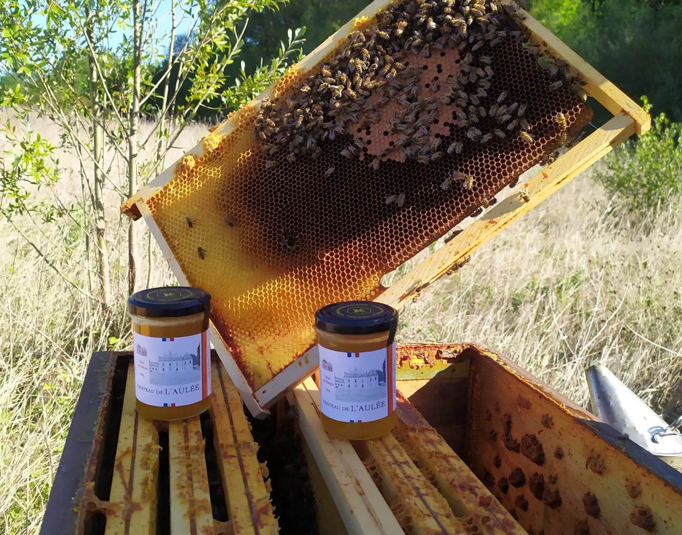 Ruche et Miel de l'Aulée