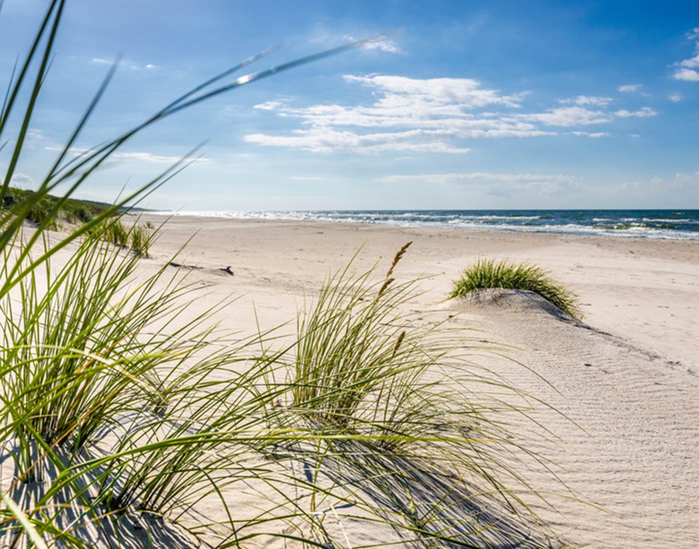 La-cotentine-manche-chambre-hotes-mont-Michel-2