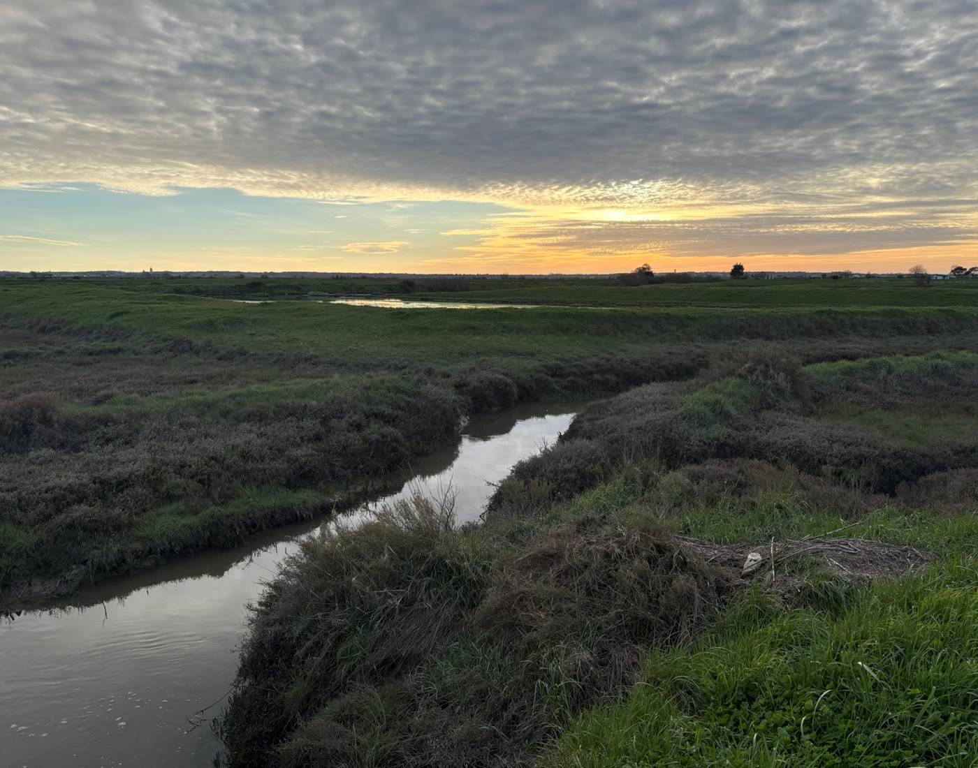 Marais de la Seudre à Port Paradis à Nieulle sur Seudre en Charente Maritime