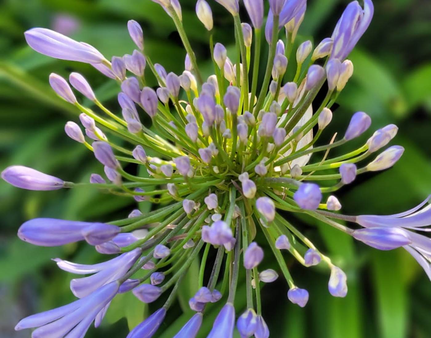 chambre-hotes-bretagne-cap-frehel-dinan
