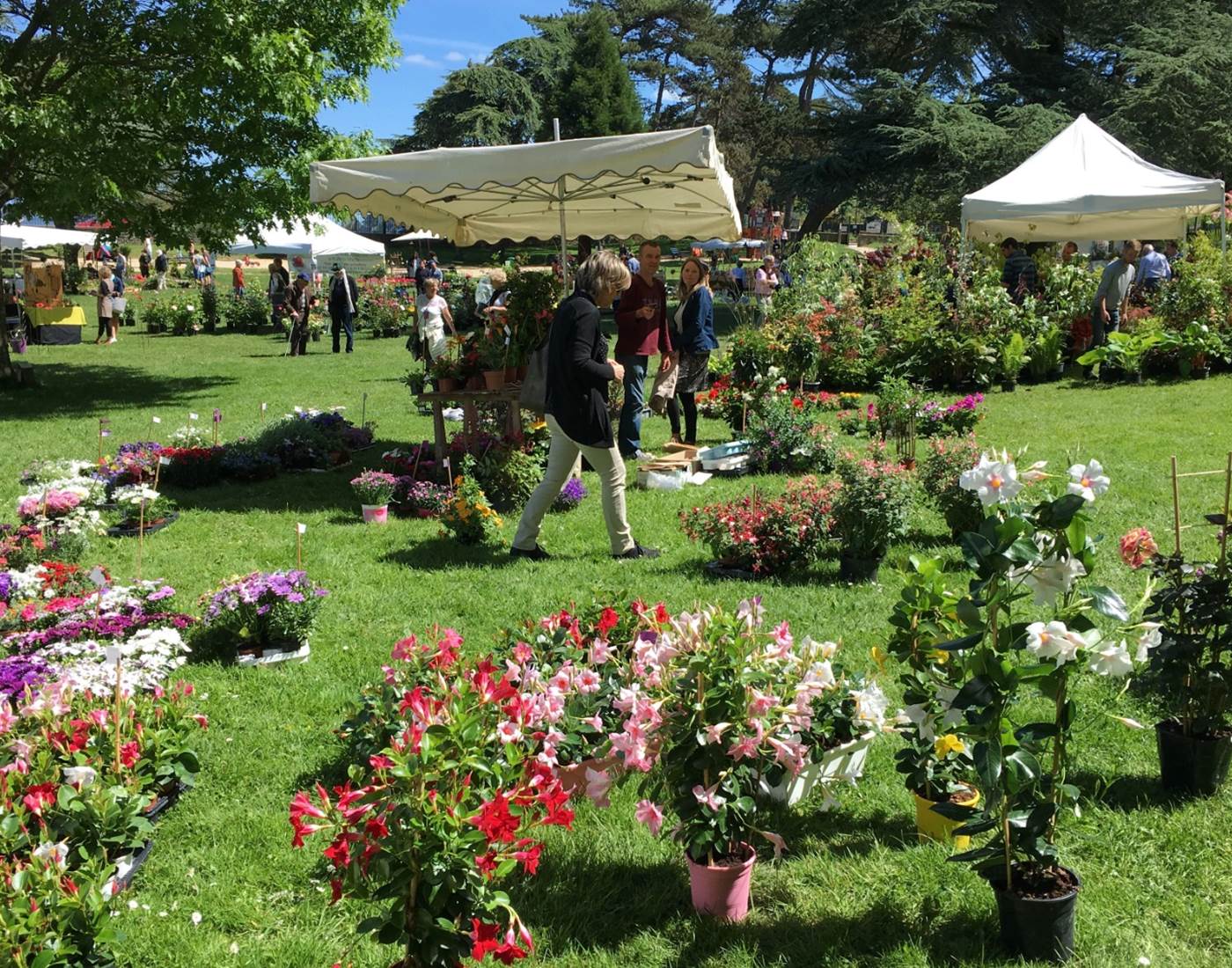 Dinard Clos de la Fontaine Nature en Fête