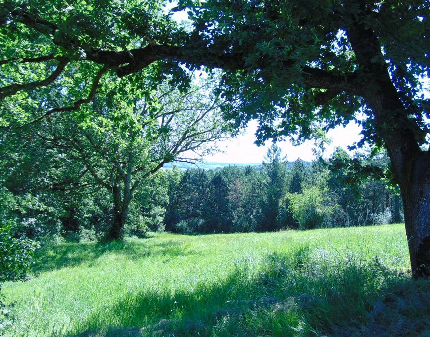 La nature au coeur de votre séjour