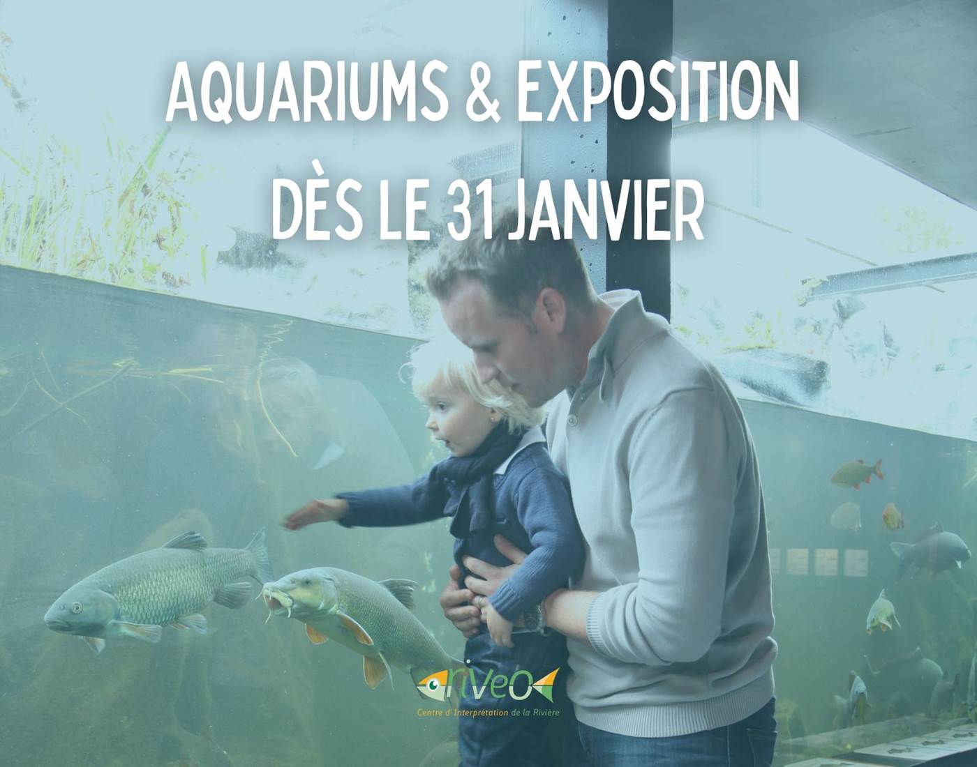 riveo-aquariums-exposition-activite-famille-hiver-ardenne
