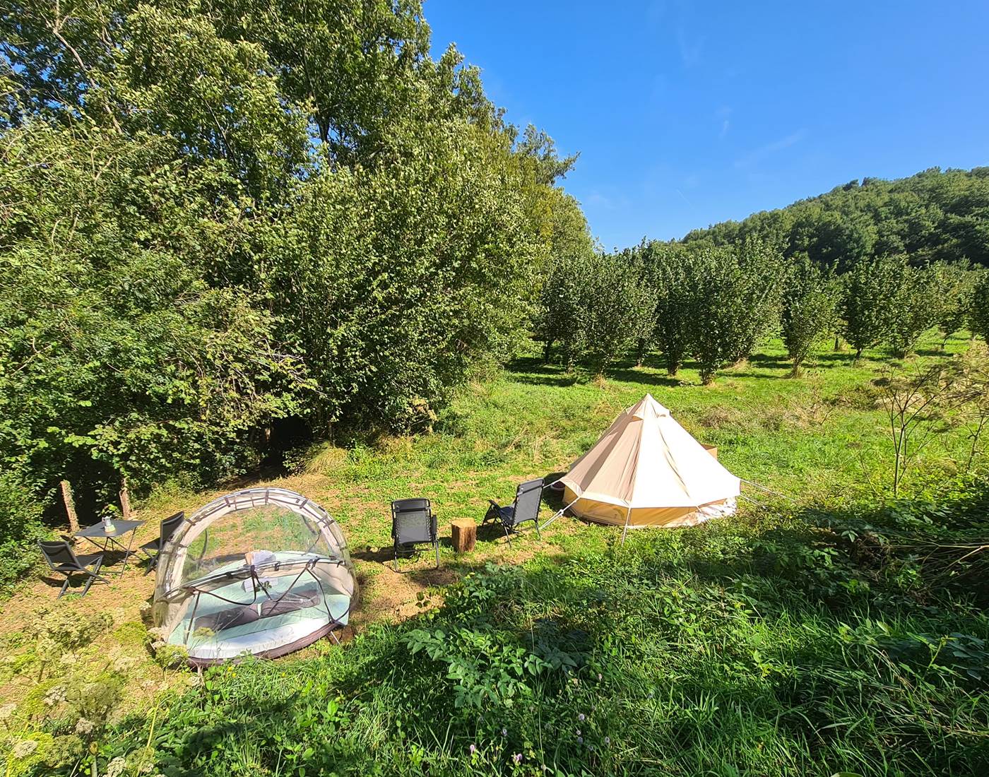 Emplacement cocon héron