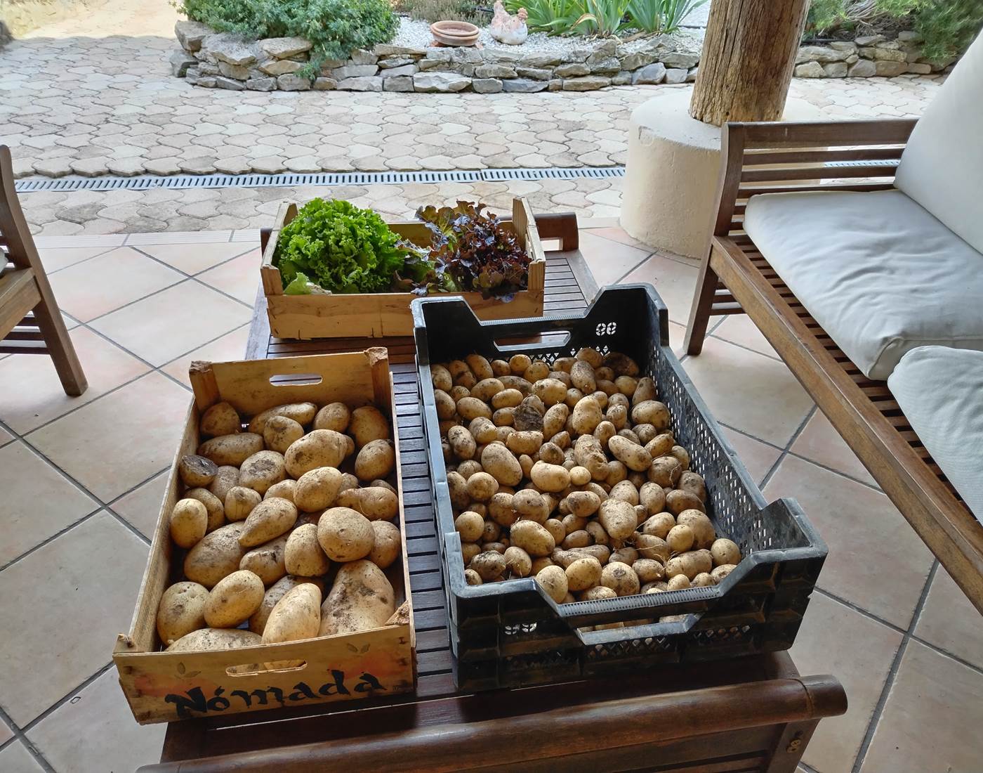 Haa les bons légumes du potager du Le Coq du Nord -Mailhac