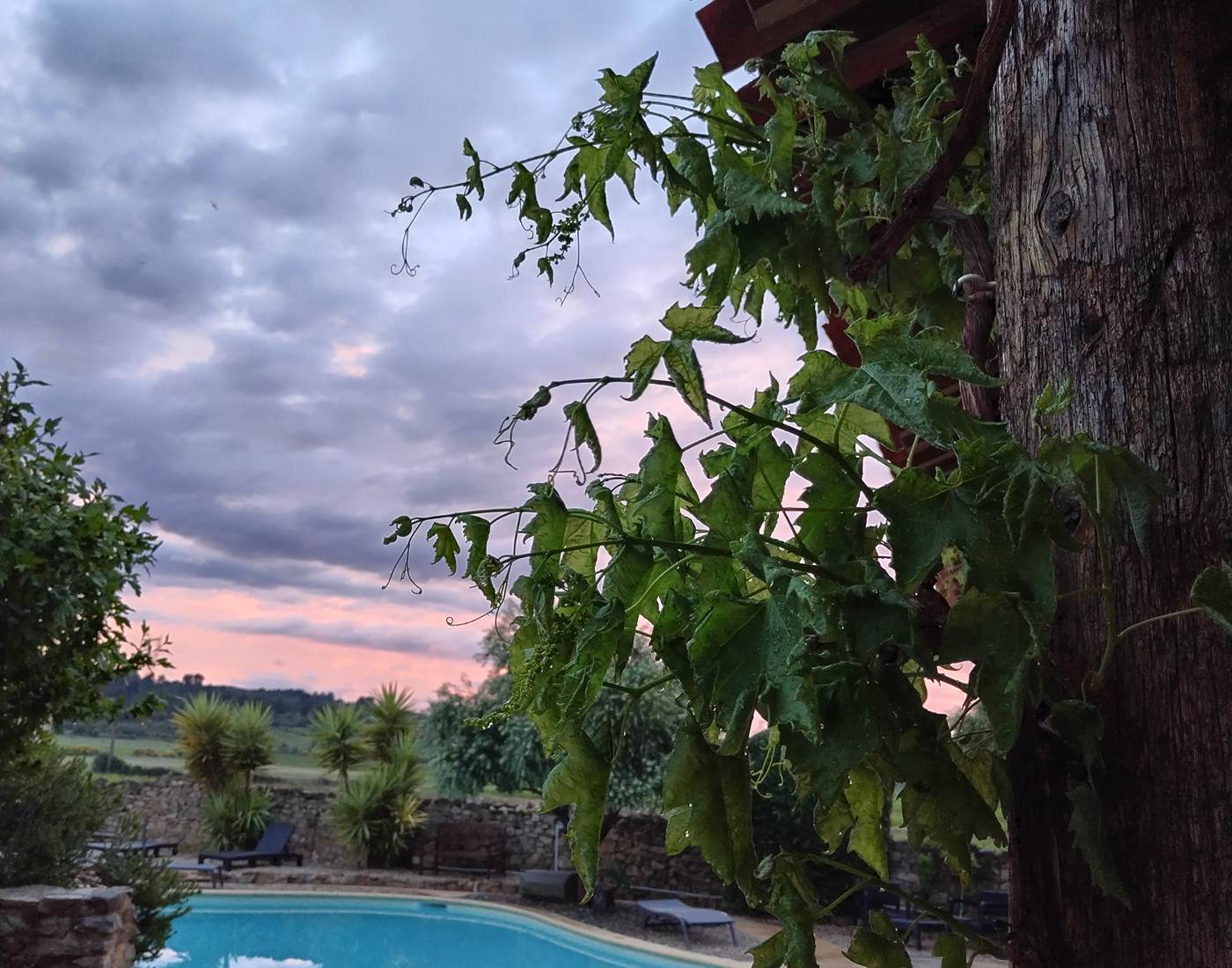 Respirez et admirez les merveilleux coucher de soleil