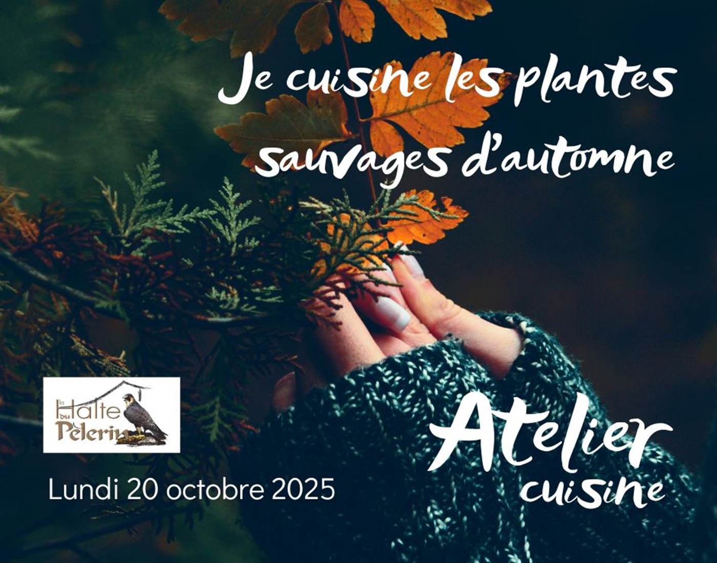 Je cuisine les plantes sauvages d'automne