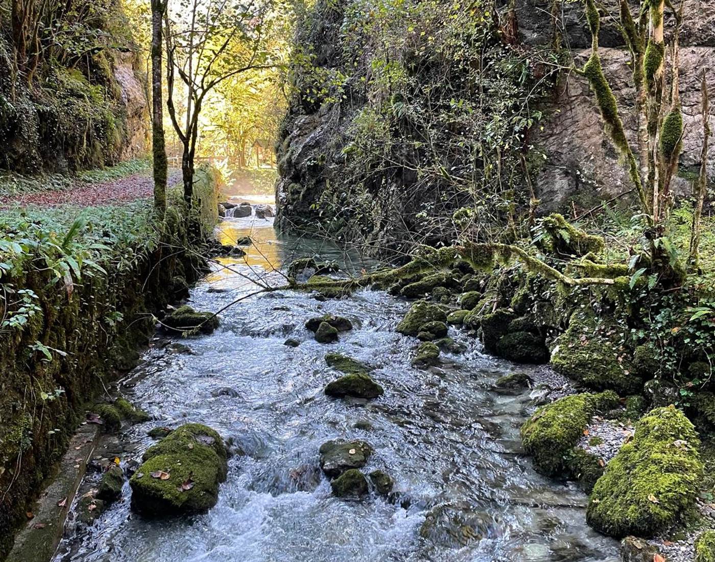 La Gourgue d'Asque-news
