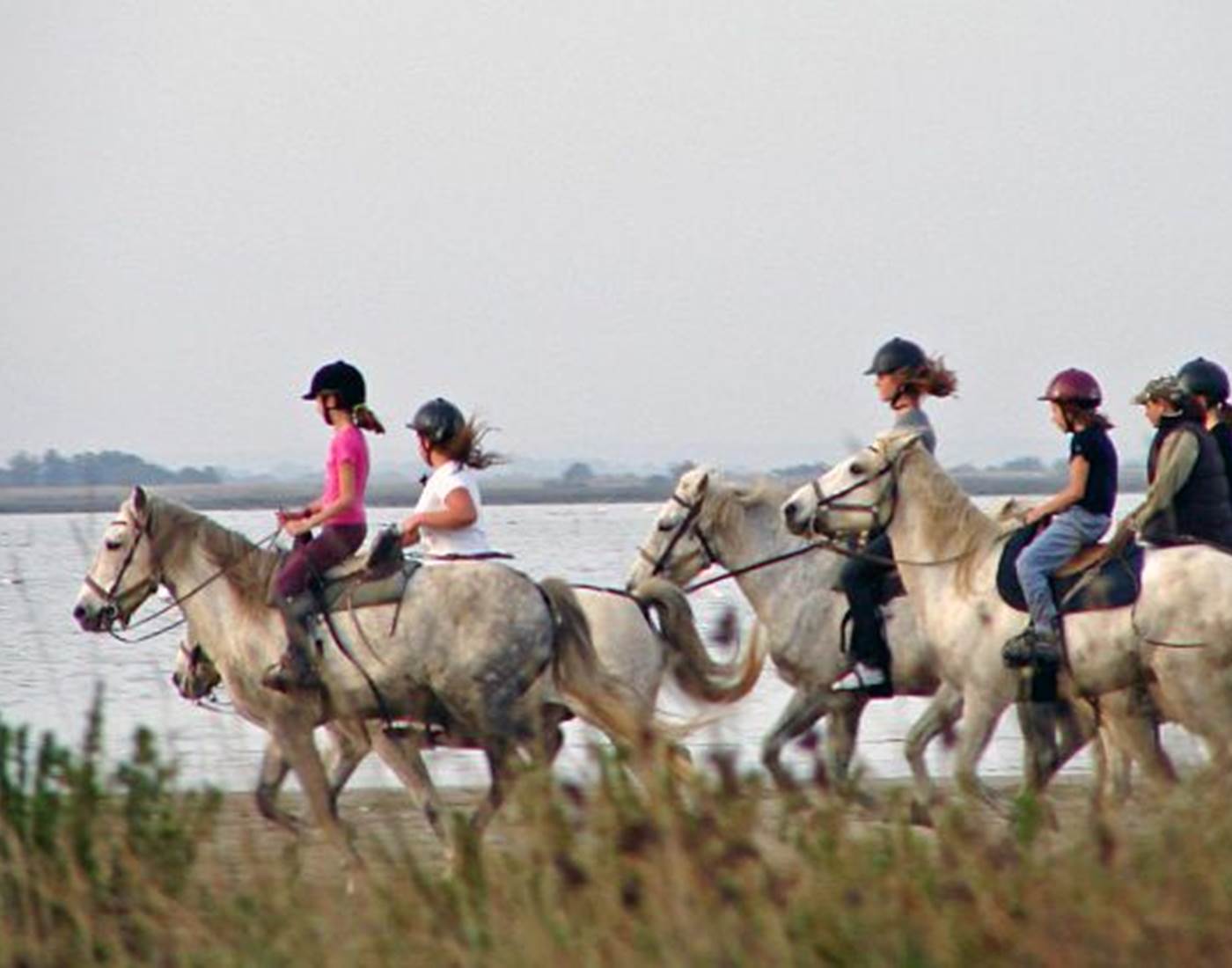 promenade à cheval à proximité