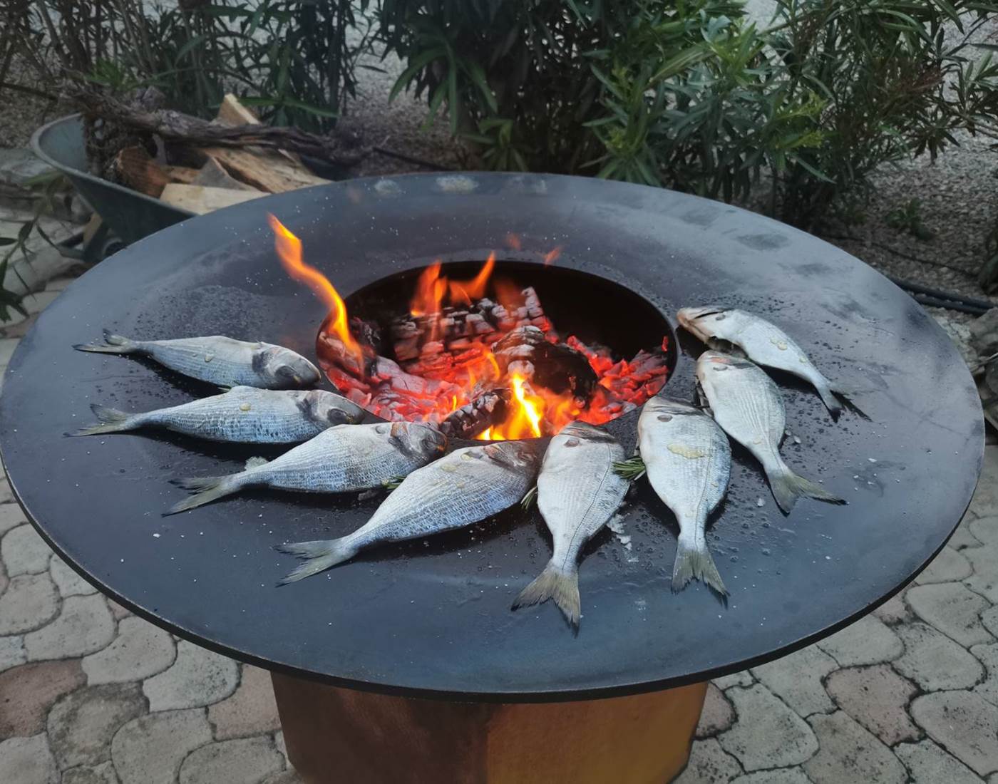 Braséro plancha à Le Coq du Nord -Mailhac