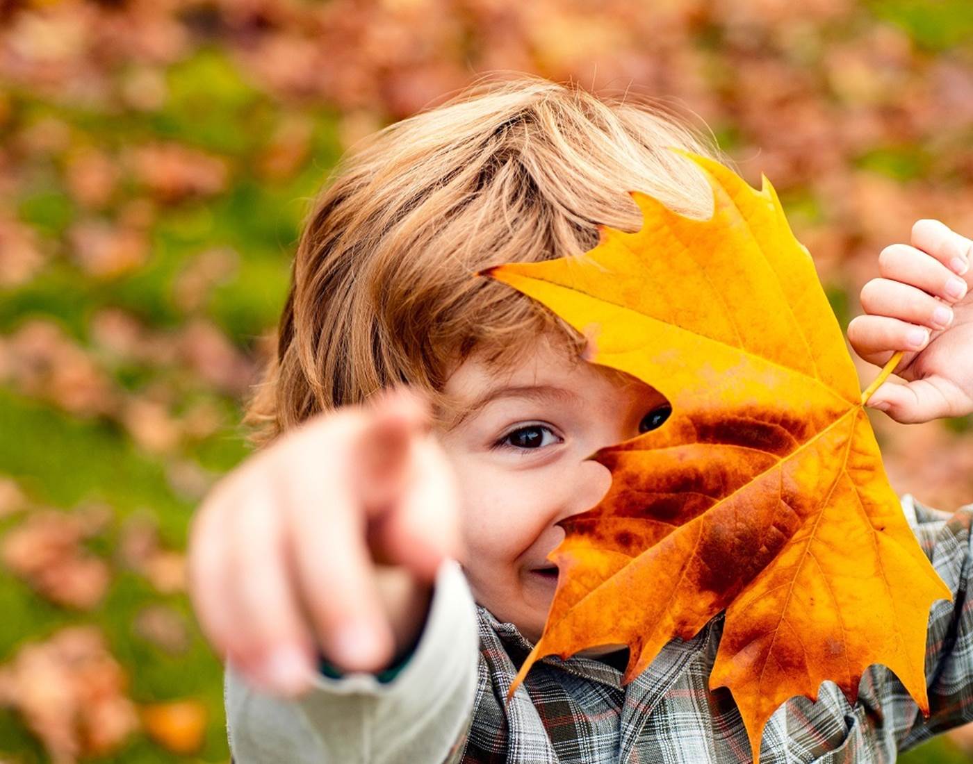 Un moment en famille dans la forêt des Vosges
