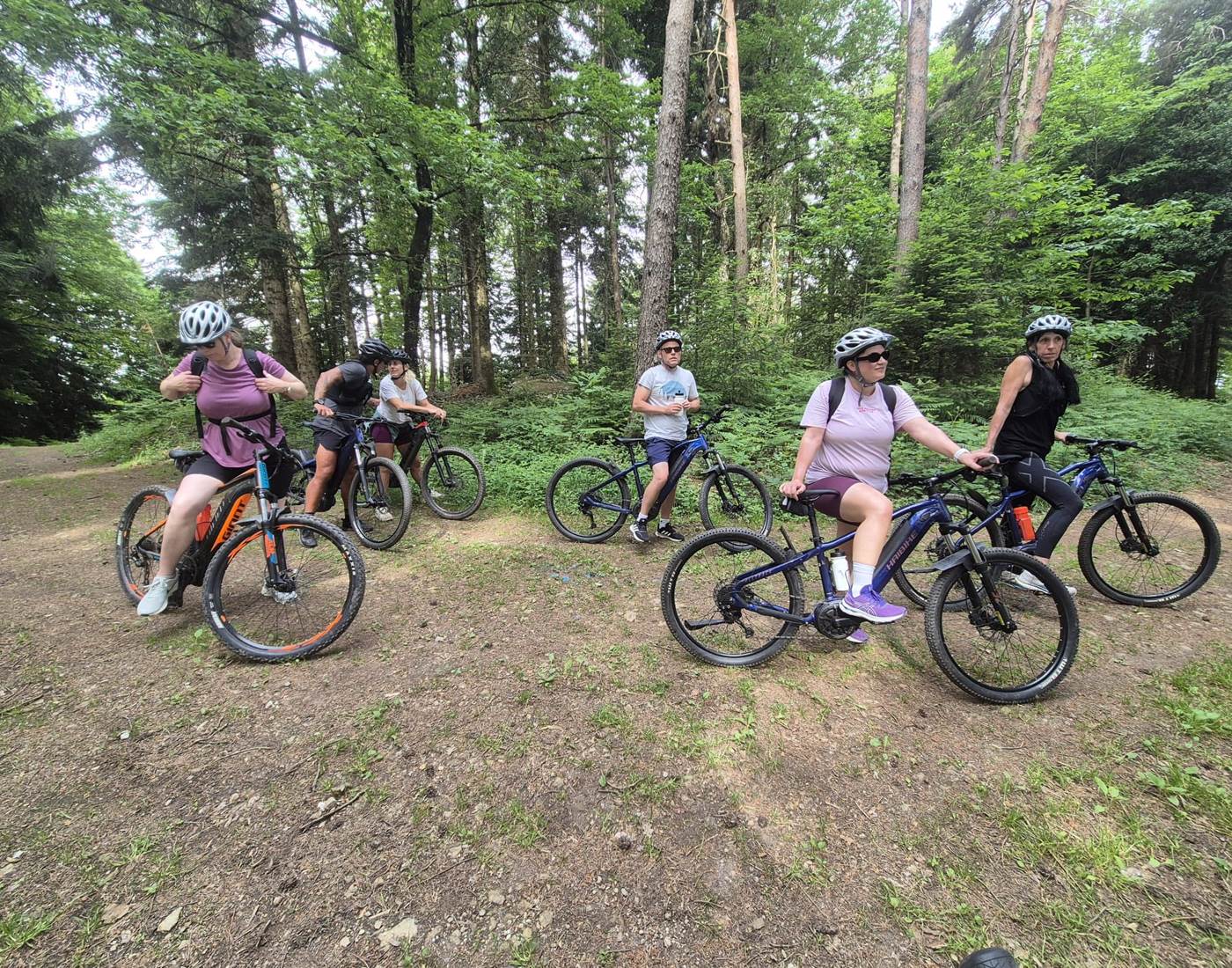 dans les bois de Bournazel