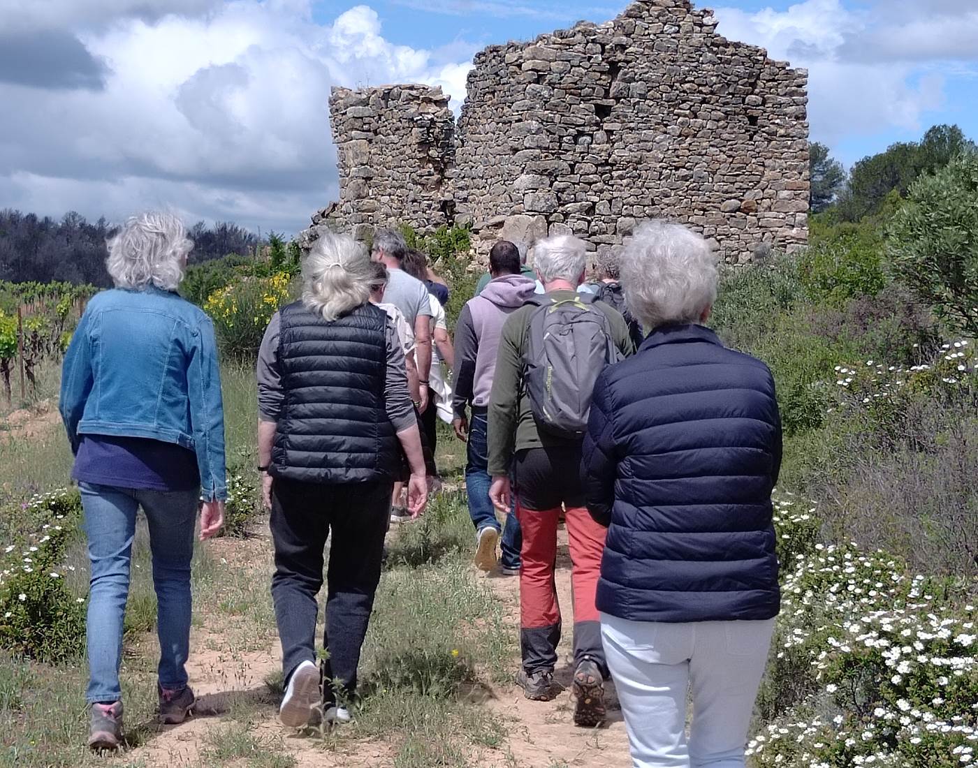 balade vigneronne au coeur des vignes du Domaine "La Tasque"