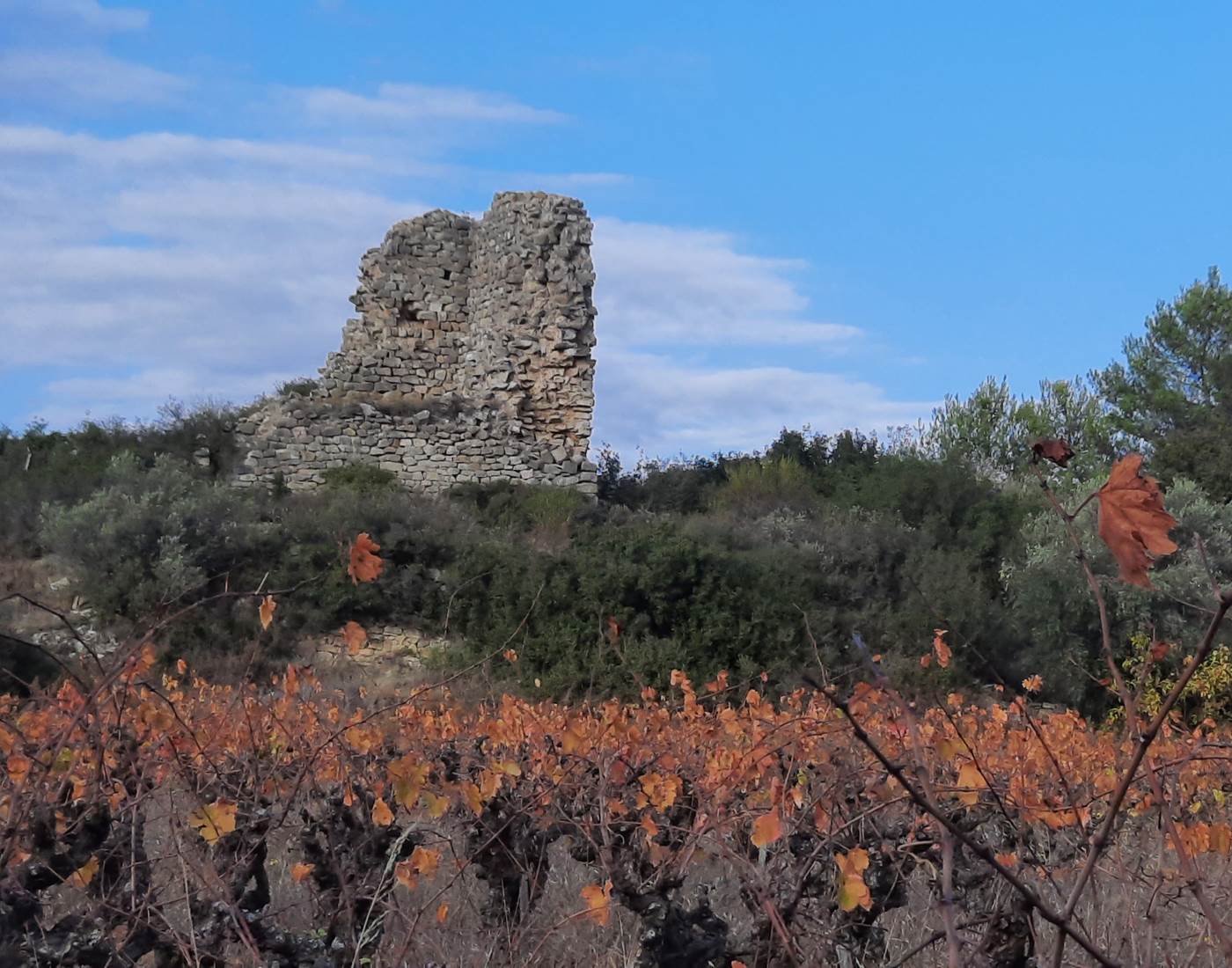 Les vestiges de Mailhac à découvrir