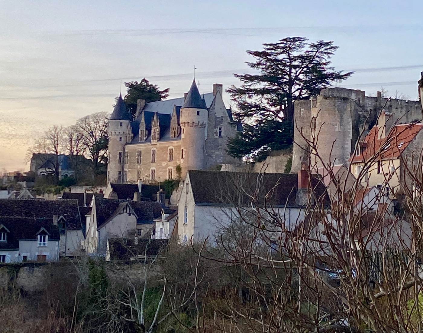 Chateau de Montresor