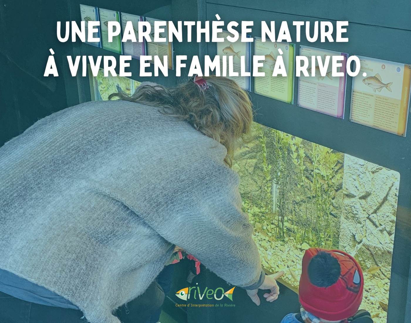 riveo-aquariums-exposition-activite-famille-vacances-scolaires-ardenne