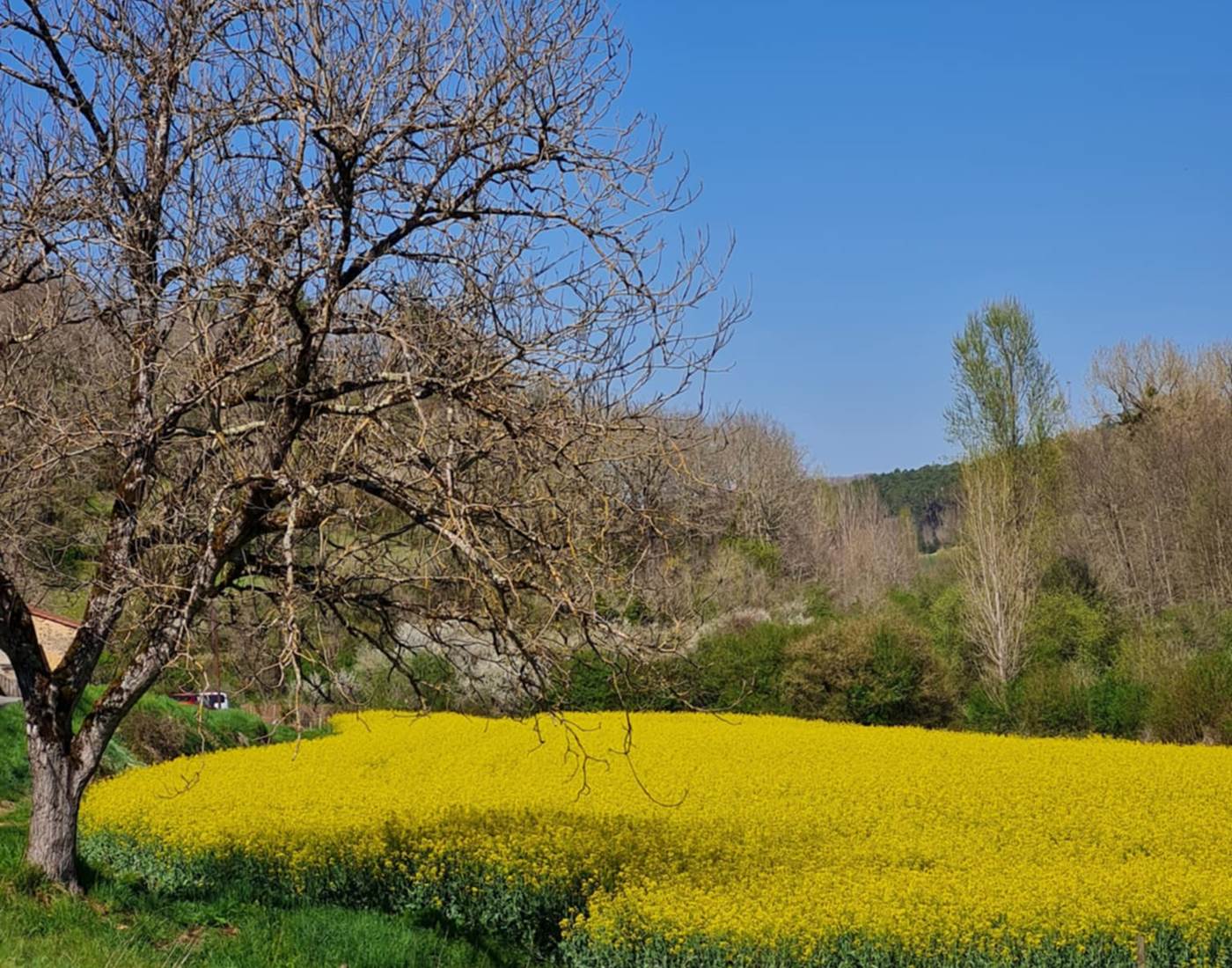 Dordogne. Le champ de l'Hoste. Printemps.