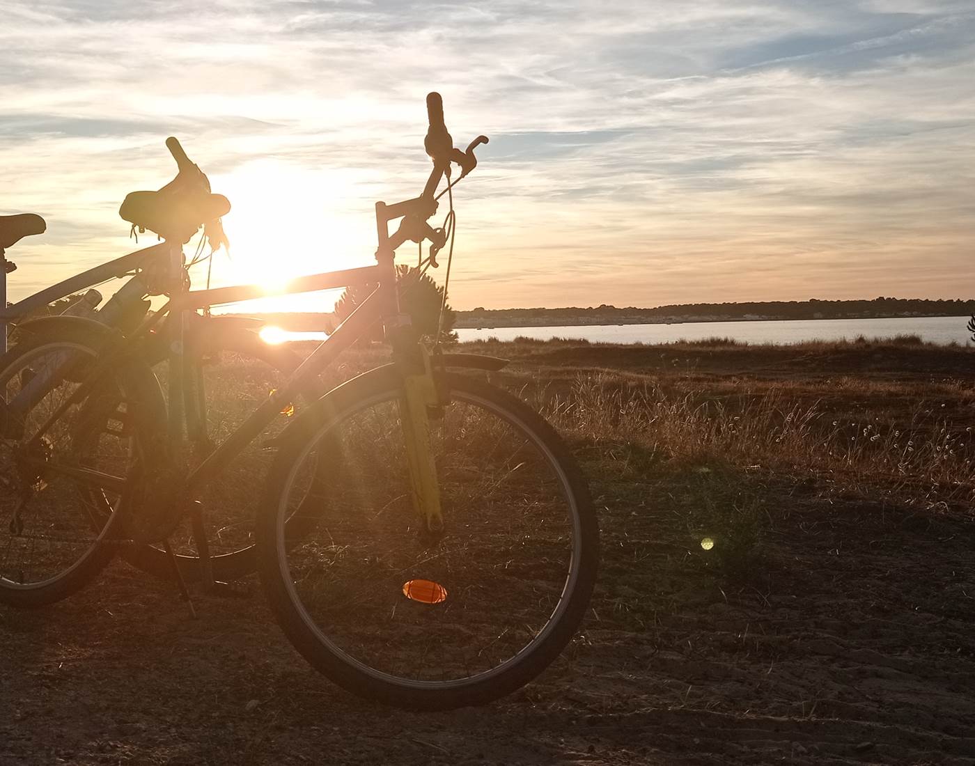 Balade à vélo île de Ré