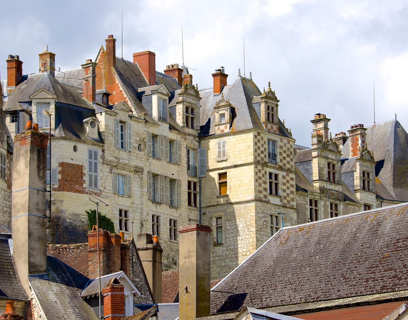 Médiation animale à Saint-Aignan, Loir-et-Cher, 41