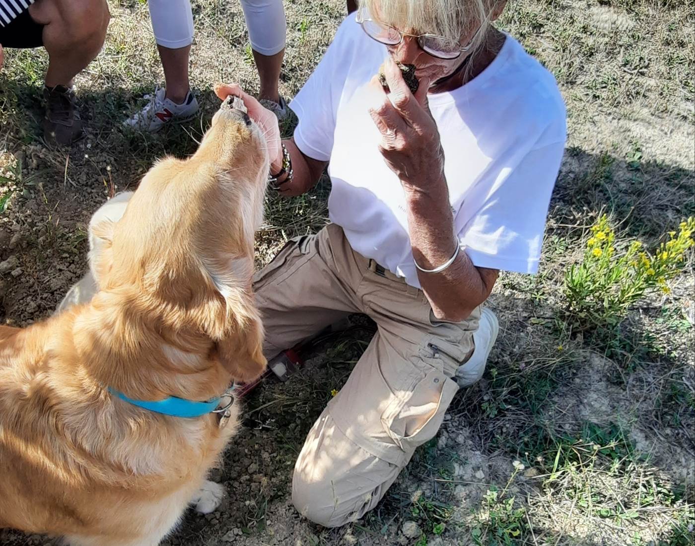 A la découverte de la truffe