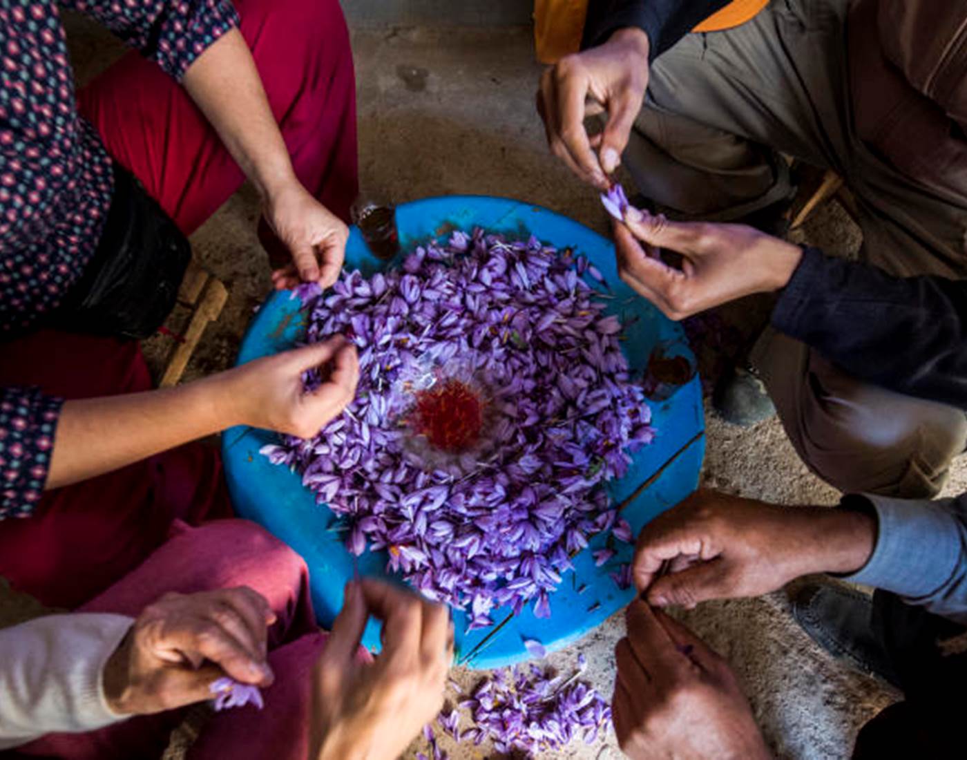Auberge Kasbah Amoun - Le Safran de Taliouine
