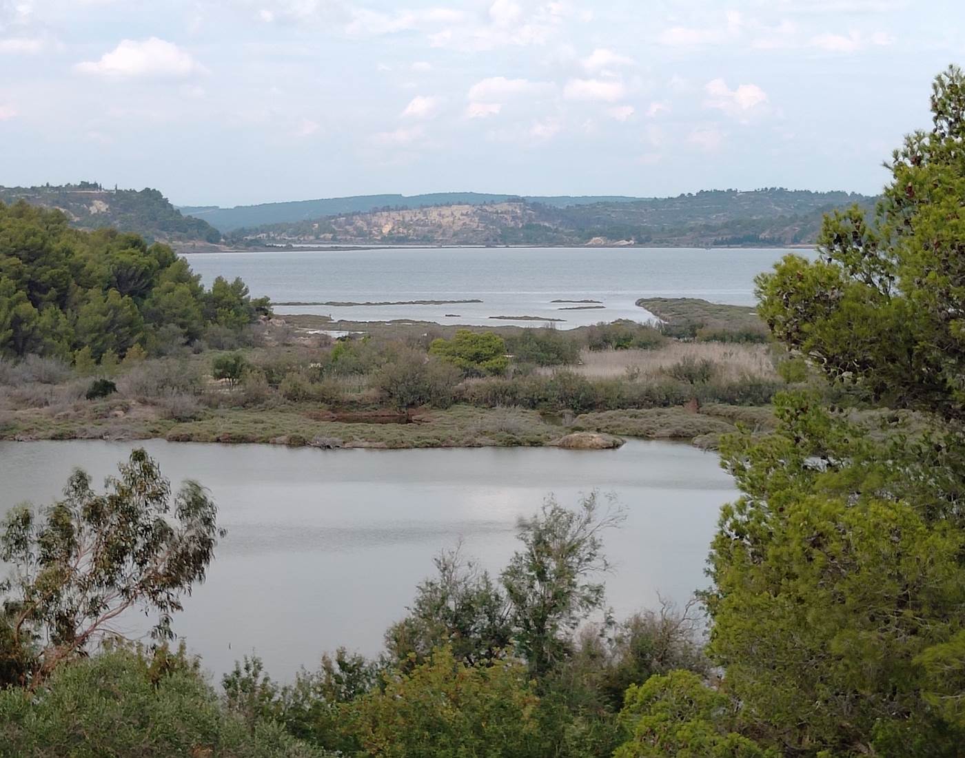 Superbe vue à la Réserve Africaine de Sigean