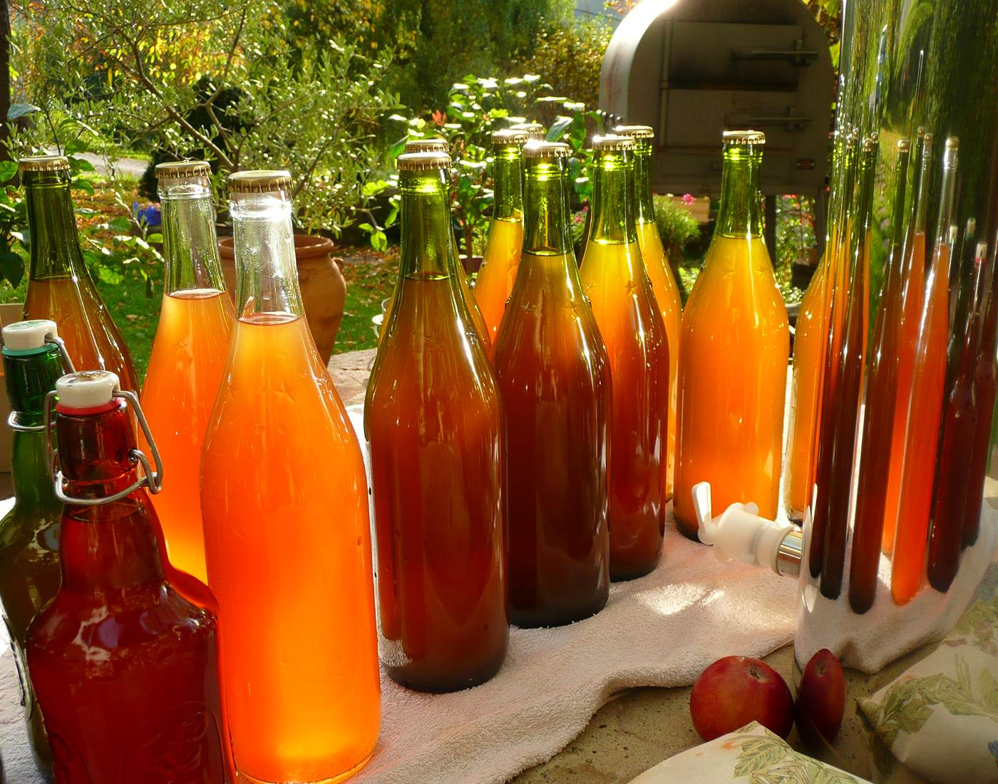 Jus de pomme bio maison