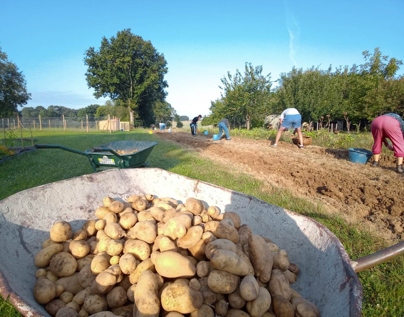 Le Répit de l'Oust - Les récoltes