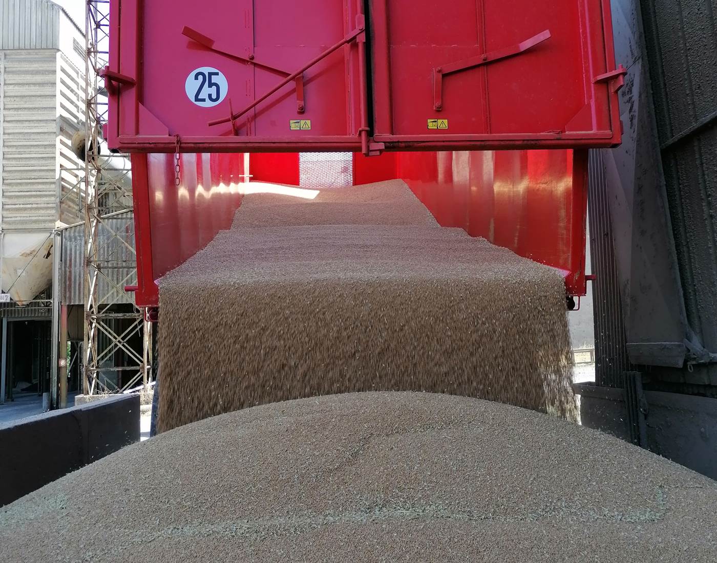 La récolte du blé à la ferme