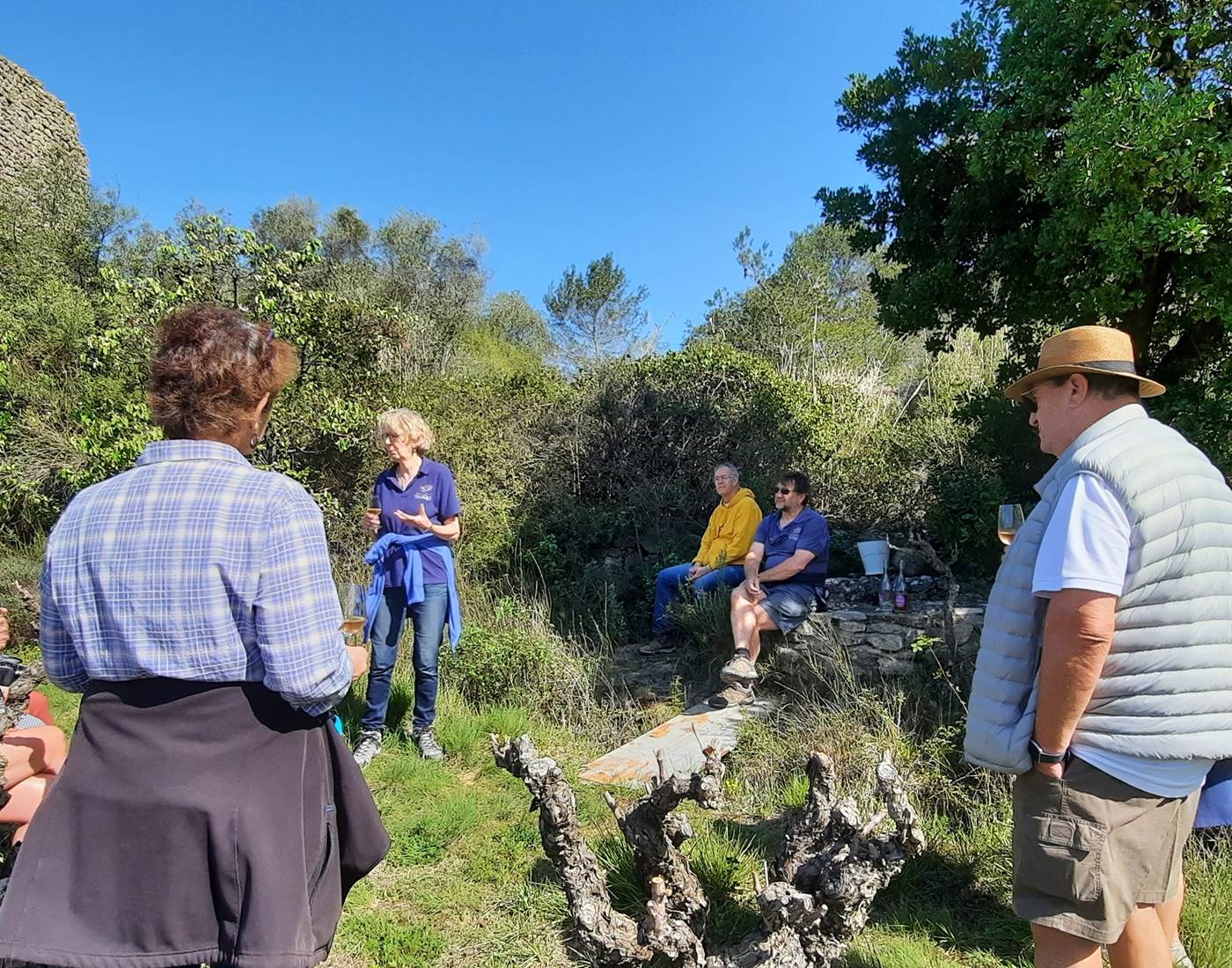 Balade dans les vignes de Mailhac