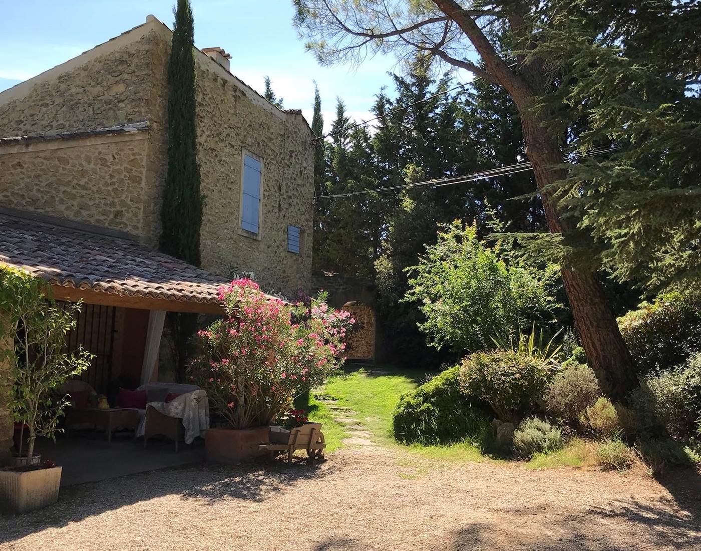 Le Mas est en fleurs et les lauriers éclatent...