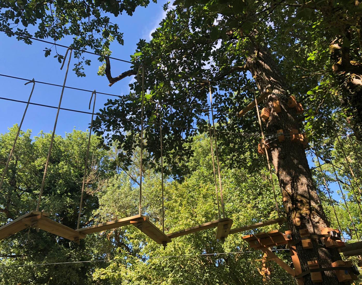Accrobranche La canopée dentelée - Domaine de Lanis Chambres Hôtes Castelnaudary