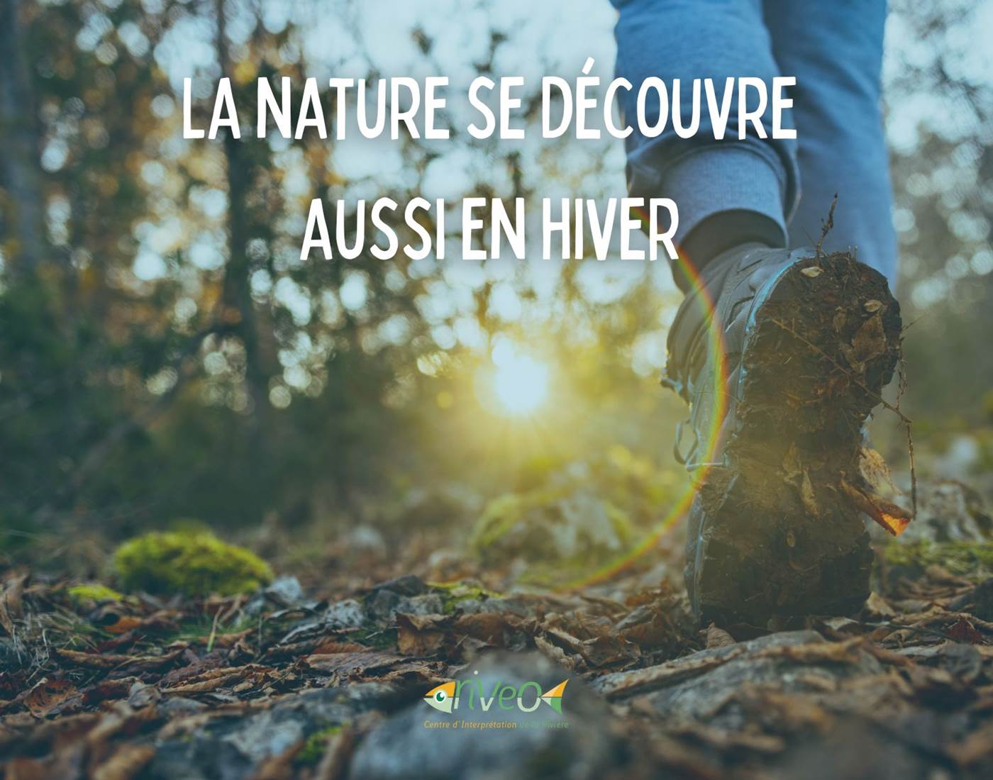 decouverte-nature-ardenne-famille