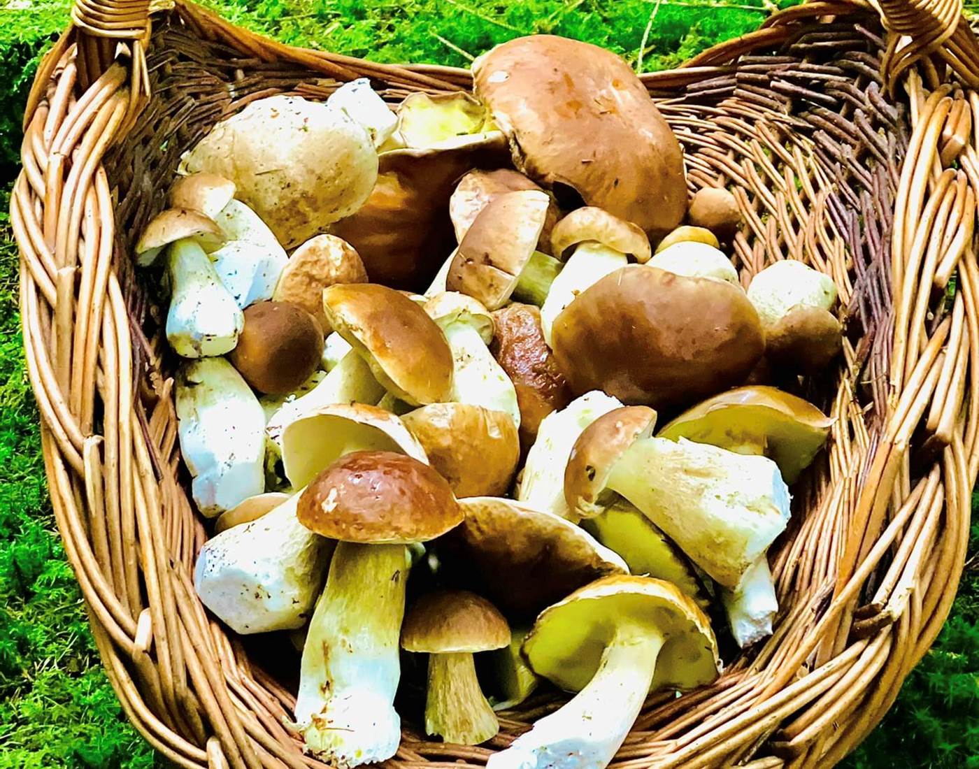 309854249_470101238466685_8076858875166028562_n