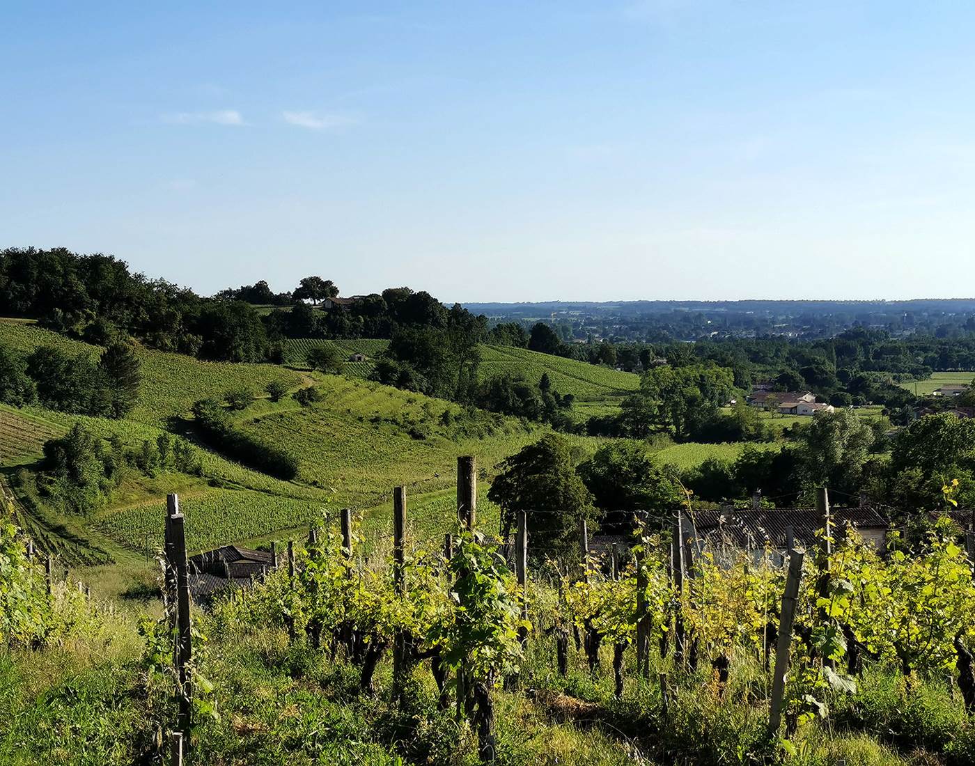 Les jolis coteaux du Fronsadais