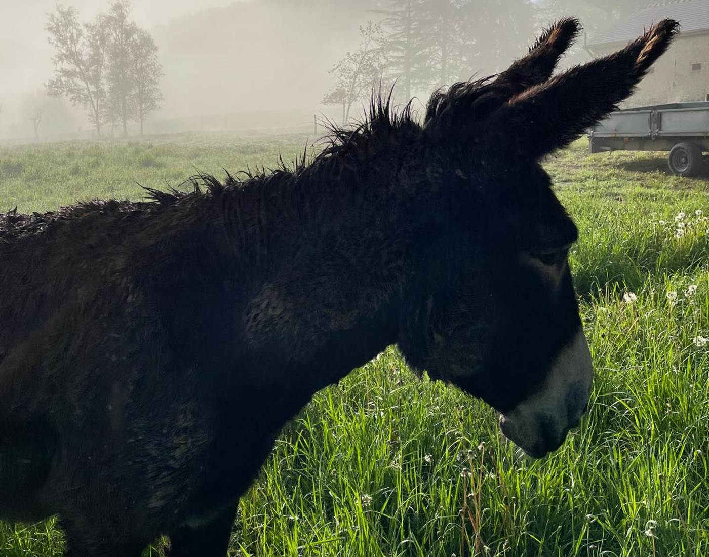 Vive les roulades dans la boue !!!-news