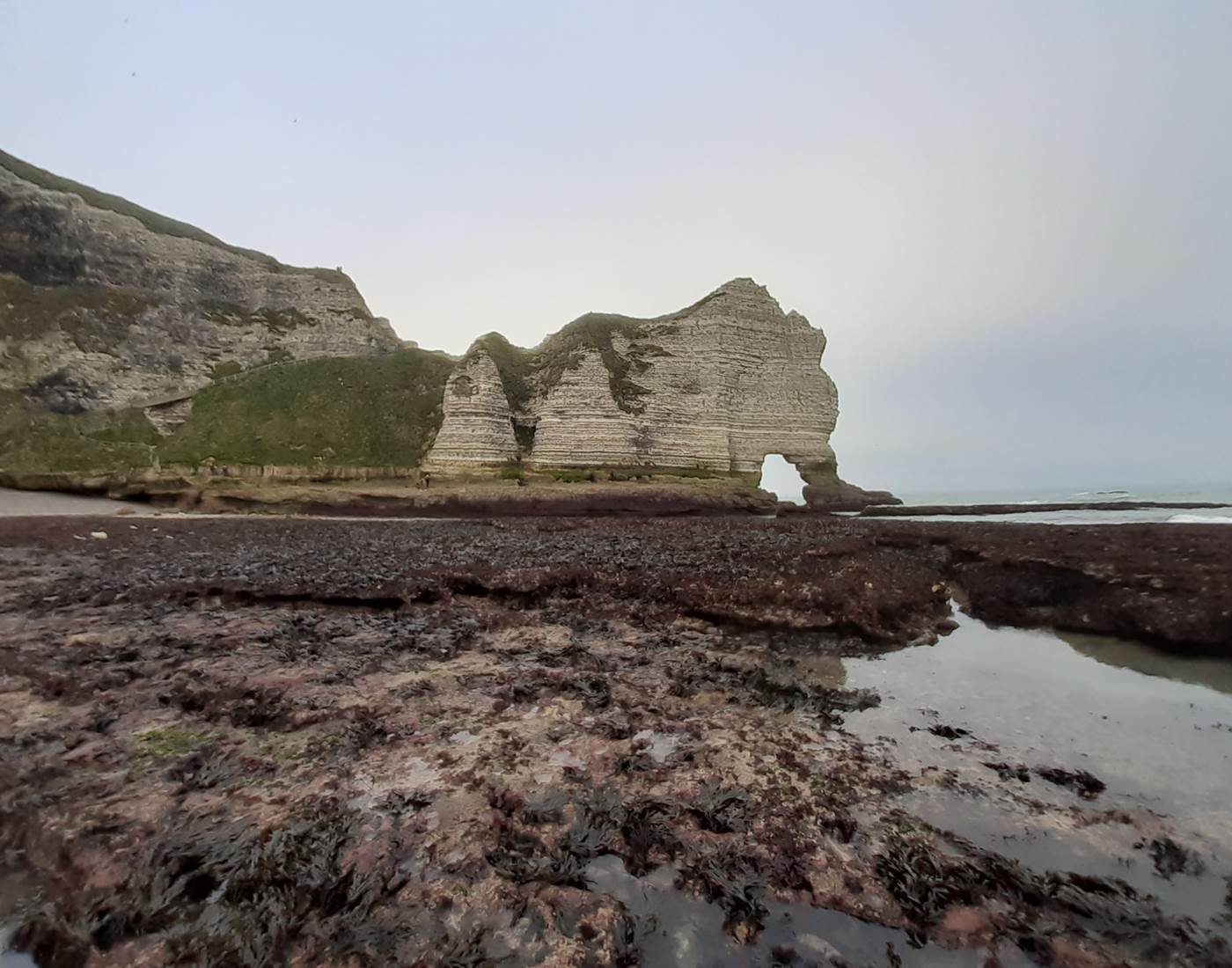 Porte d'amont à marée basse