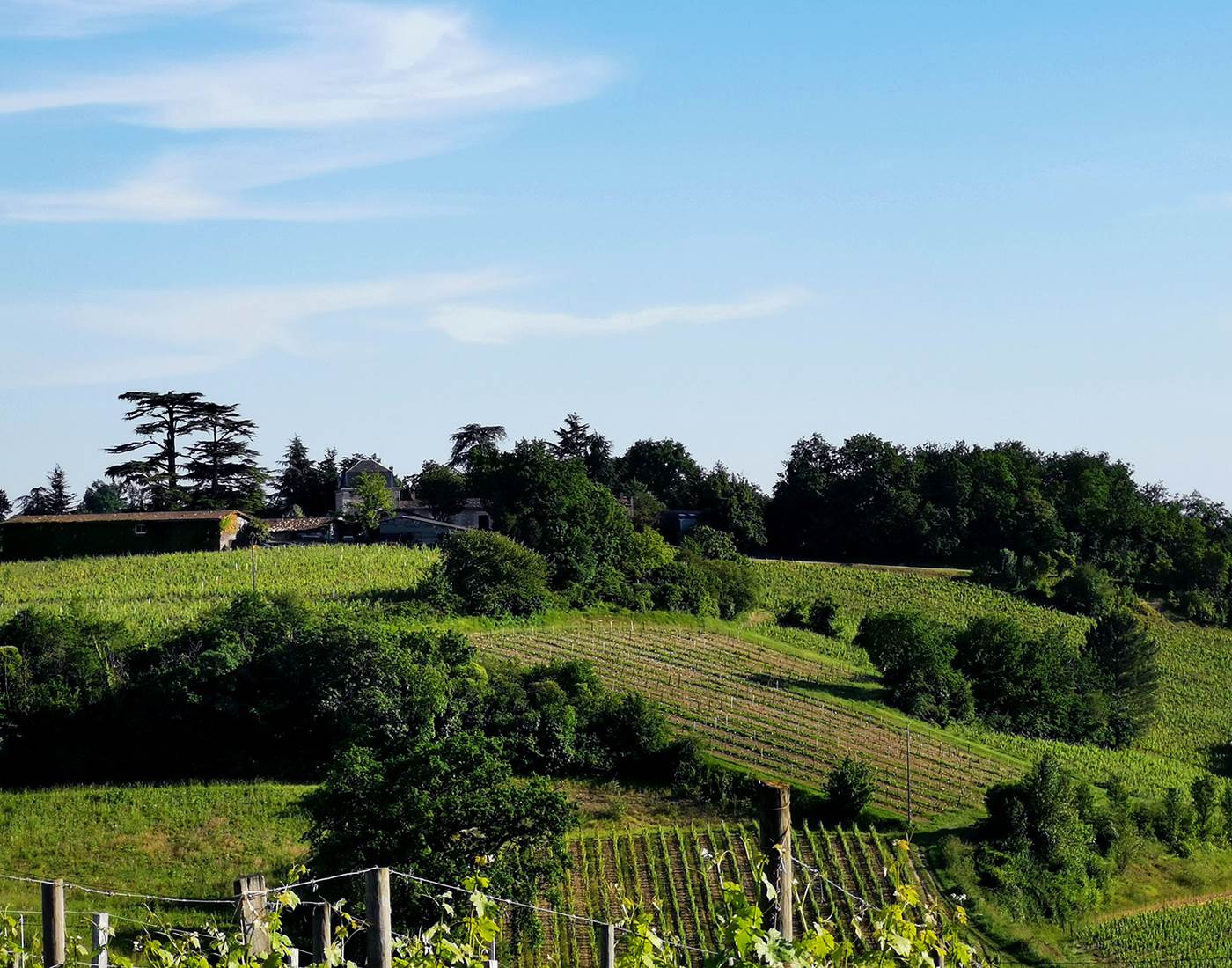 Cotaux de la Dordogne