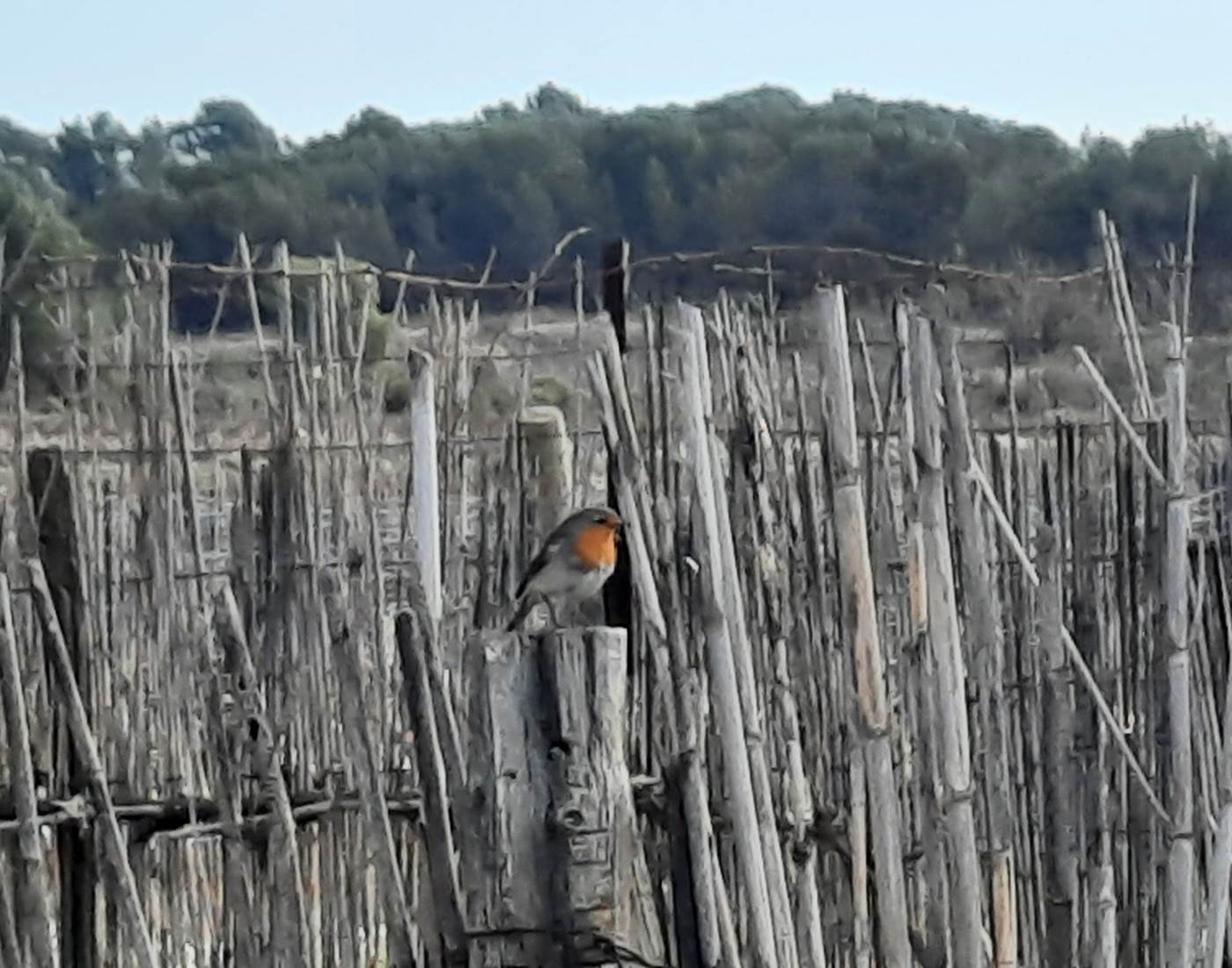 une nature préservée pour un séjour romantique