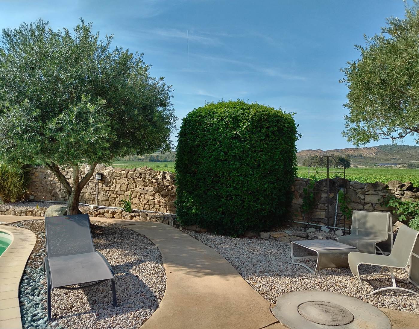 Une vue sur les vignes et le Cayla dont on ne se lasse pas