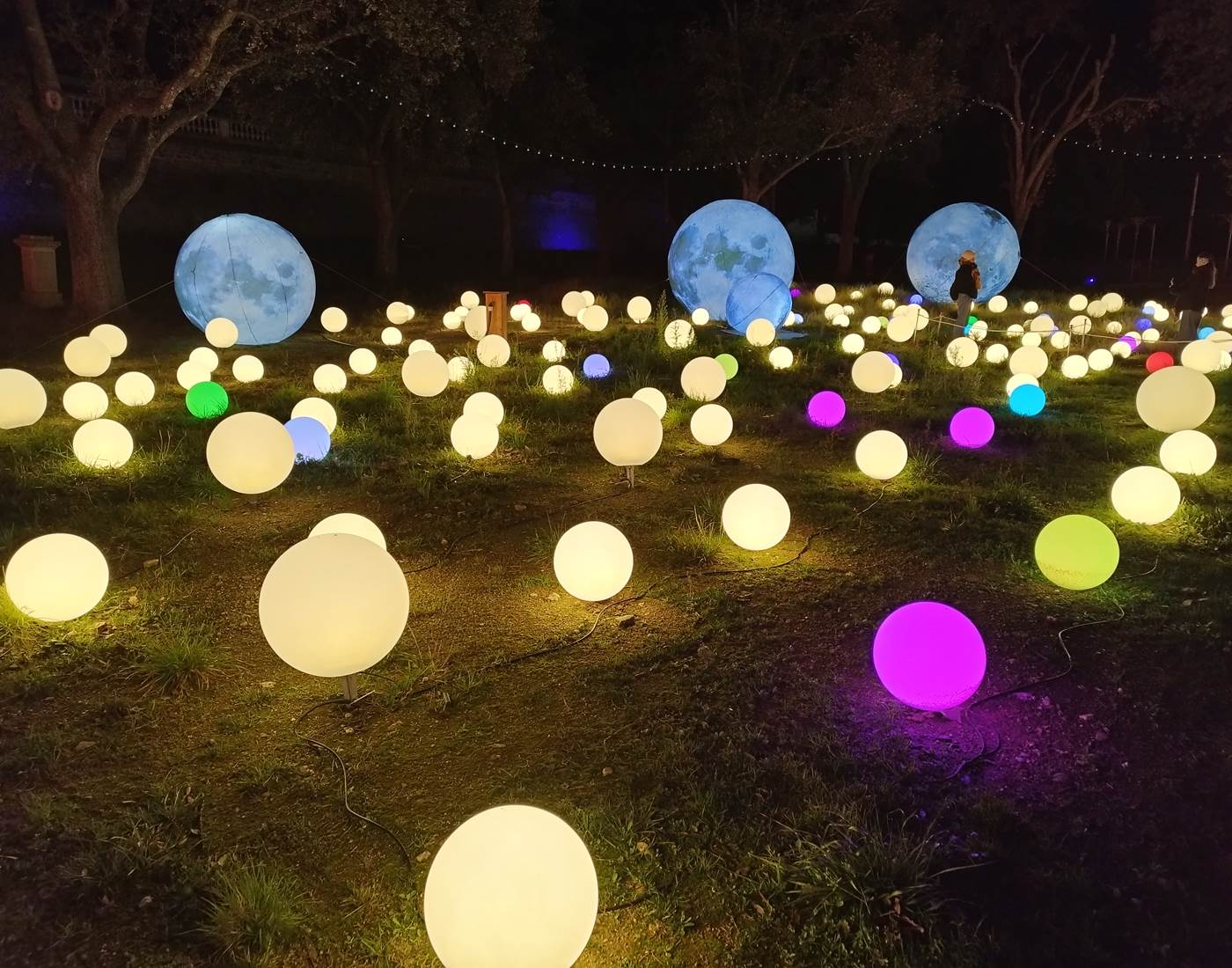Les Splendeurs de Chine à Céret