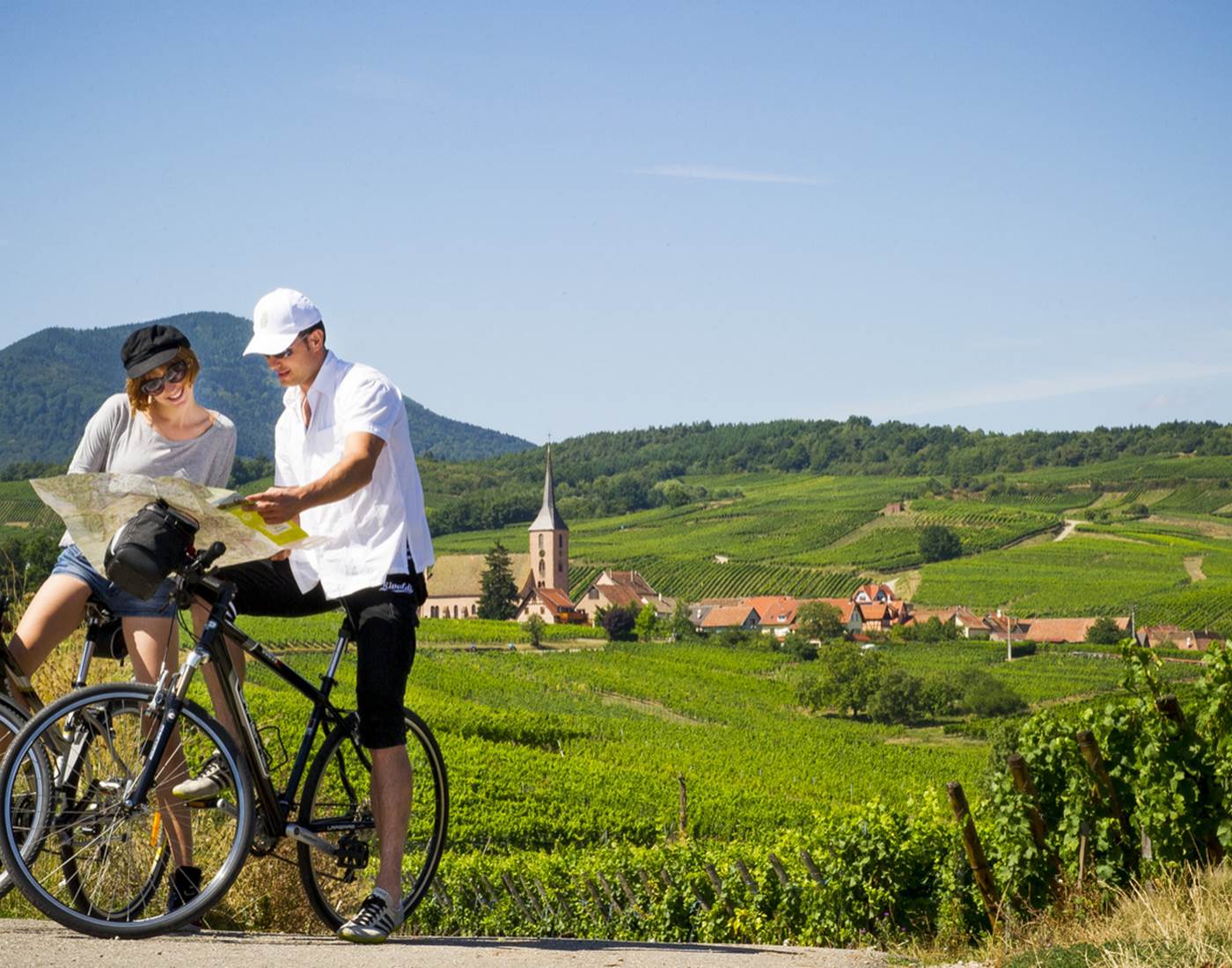 Route du vin, wine road, Weinstrasse