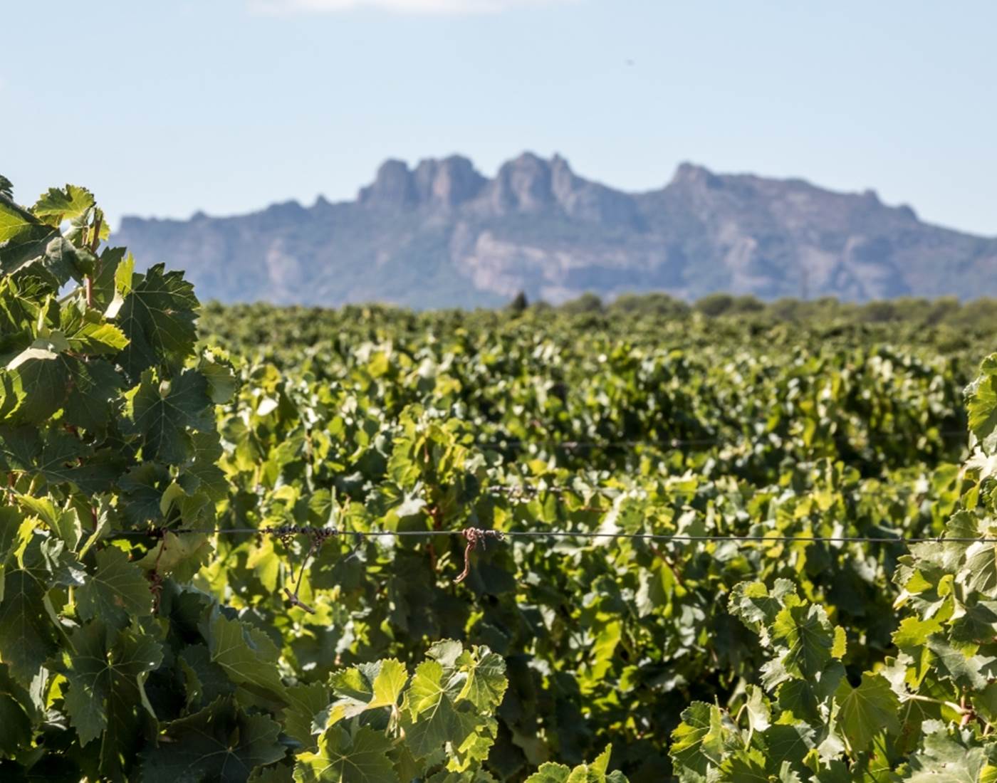 Domaine de Marchandise